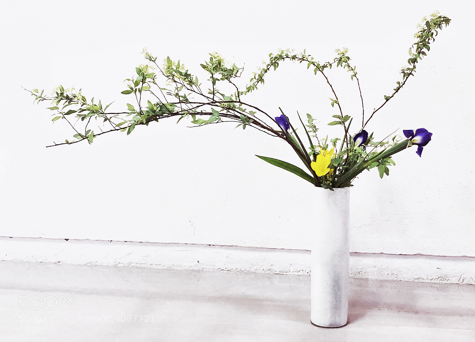Apple iPhone X sample photo. Ikebana nageire photography