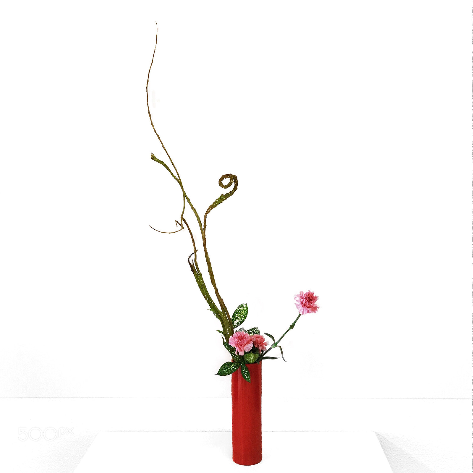 Apple iPhone 7 Plus sample photo. Ikebana nageire photography