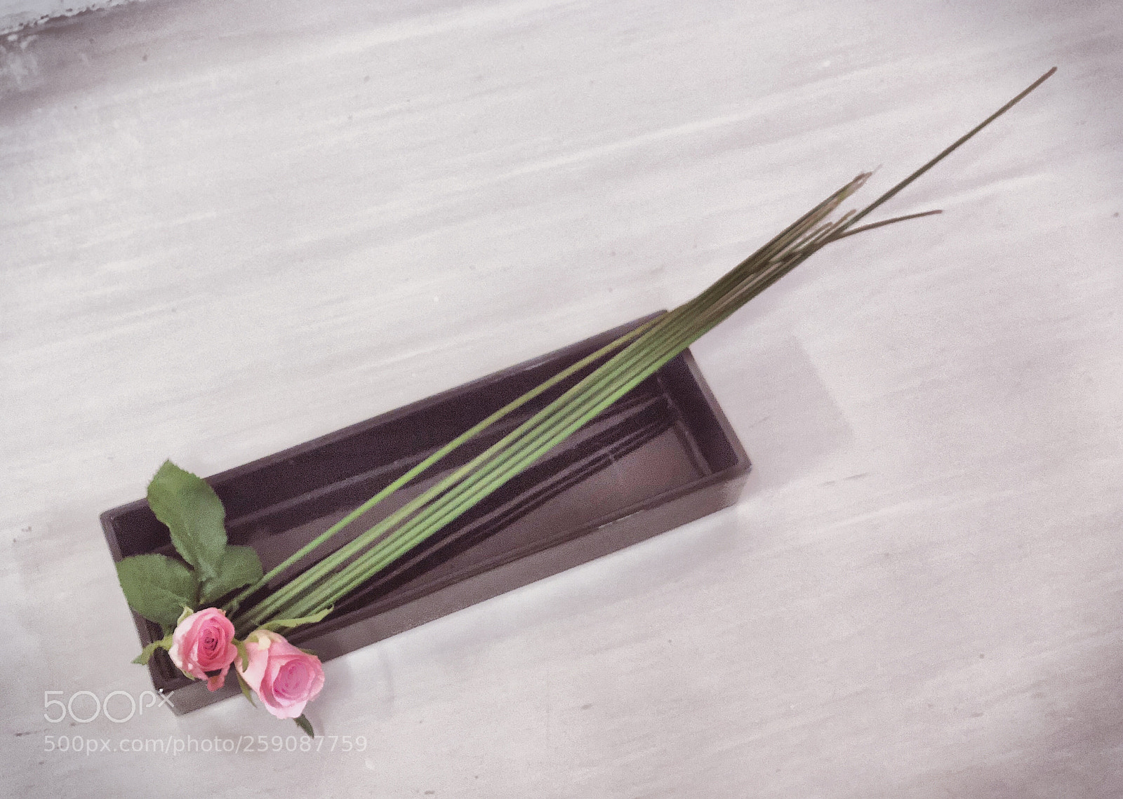 Apple iPhone X sample photo. Flat straight lines photography