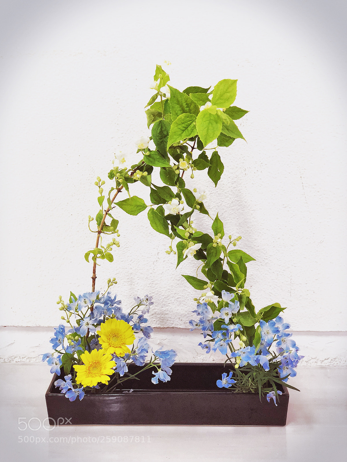 Apple iPhone X sample photo. Double ikebana arrangement photography