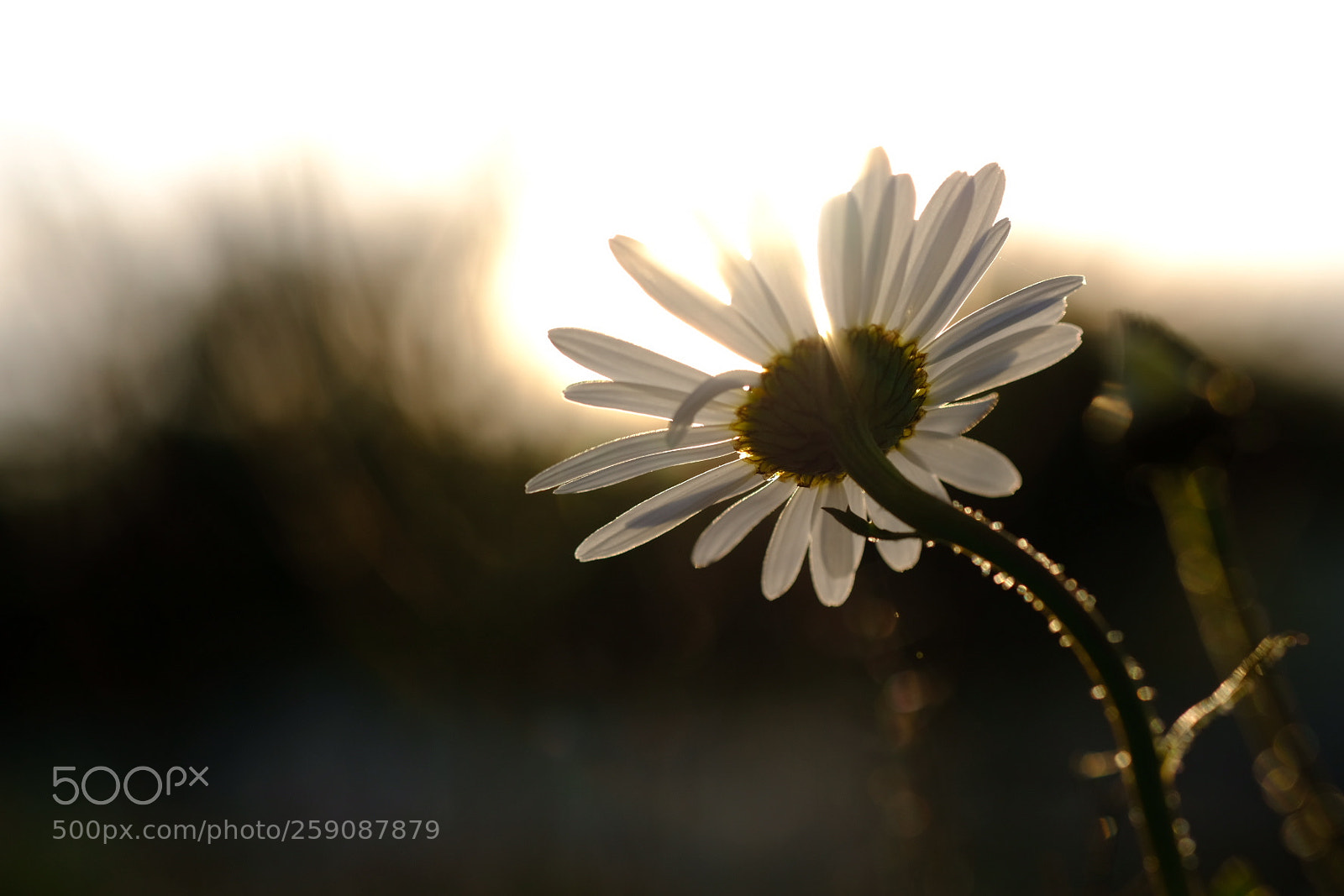 Fujifilm X-E3 sample photo. Serenity photography