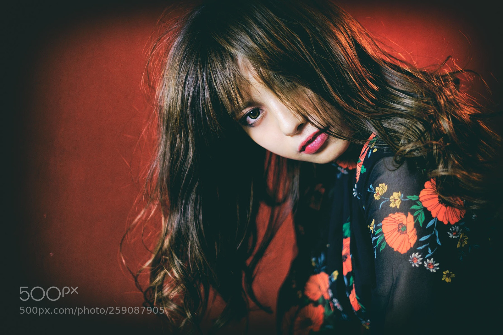 Fujifilm X-T2 sample photo. Hirona photography