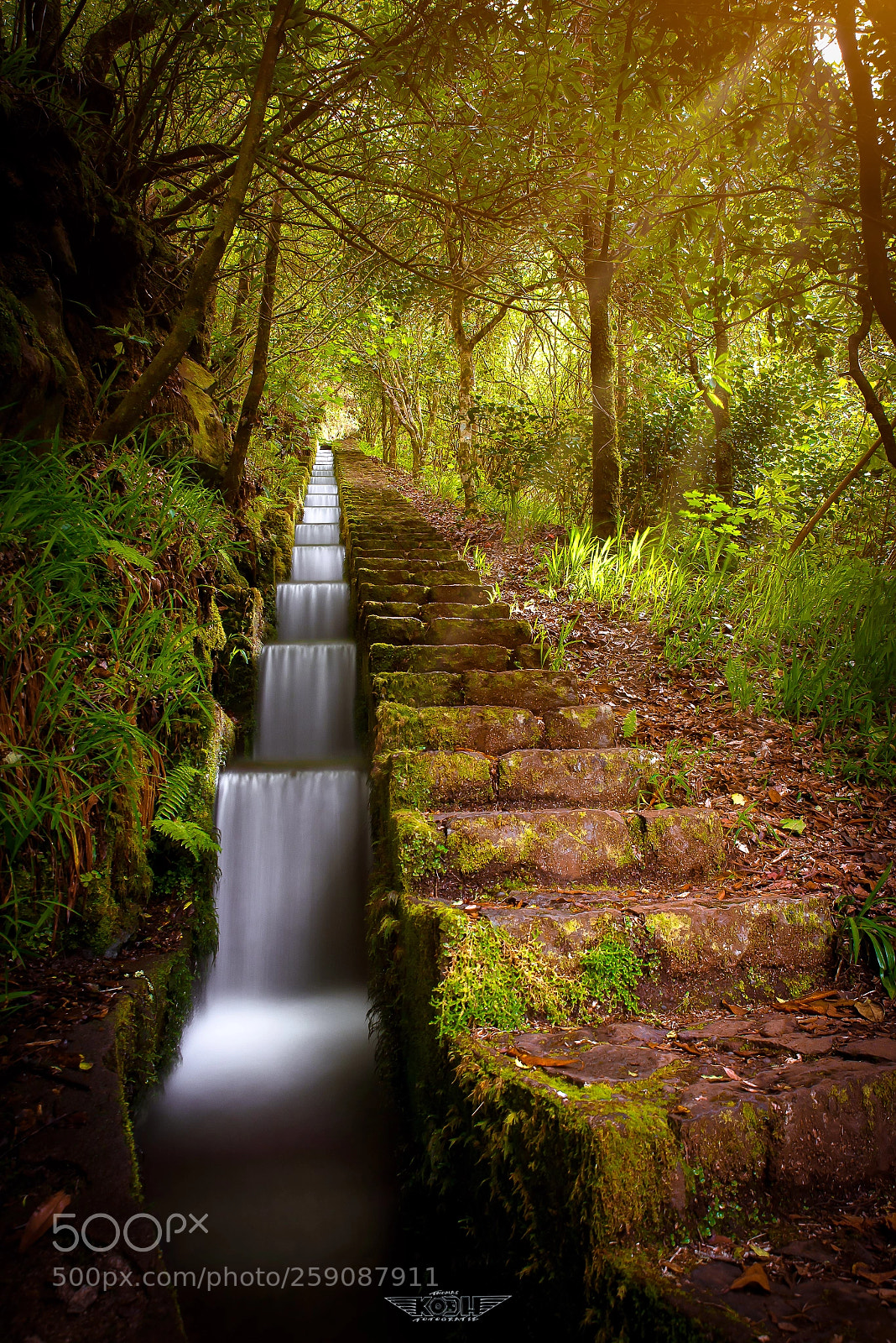 Nikon D750 sample photo. Levada stairway photography
