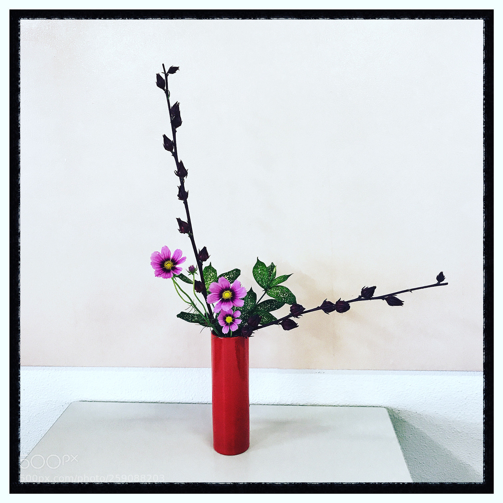 Apple iPhone 7 Plus sample photo. Nageire ikebana photography