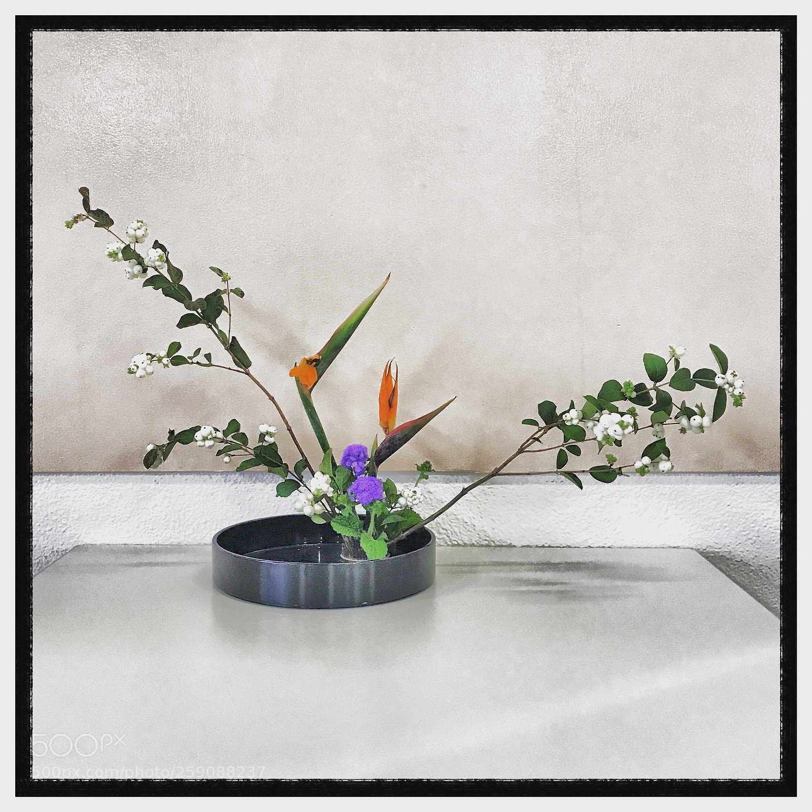 Apple iPhone 7 Plus sample photo. Moribana ikebana photography