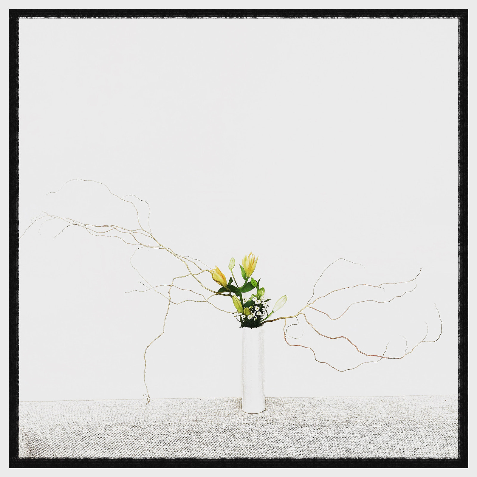 Apple iPhone 7 Plus sample photo. Nageire ikebana photography