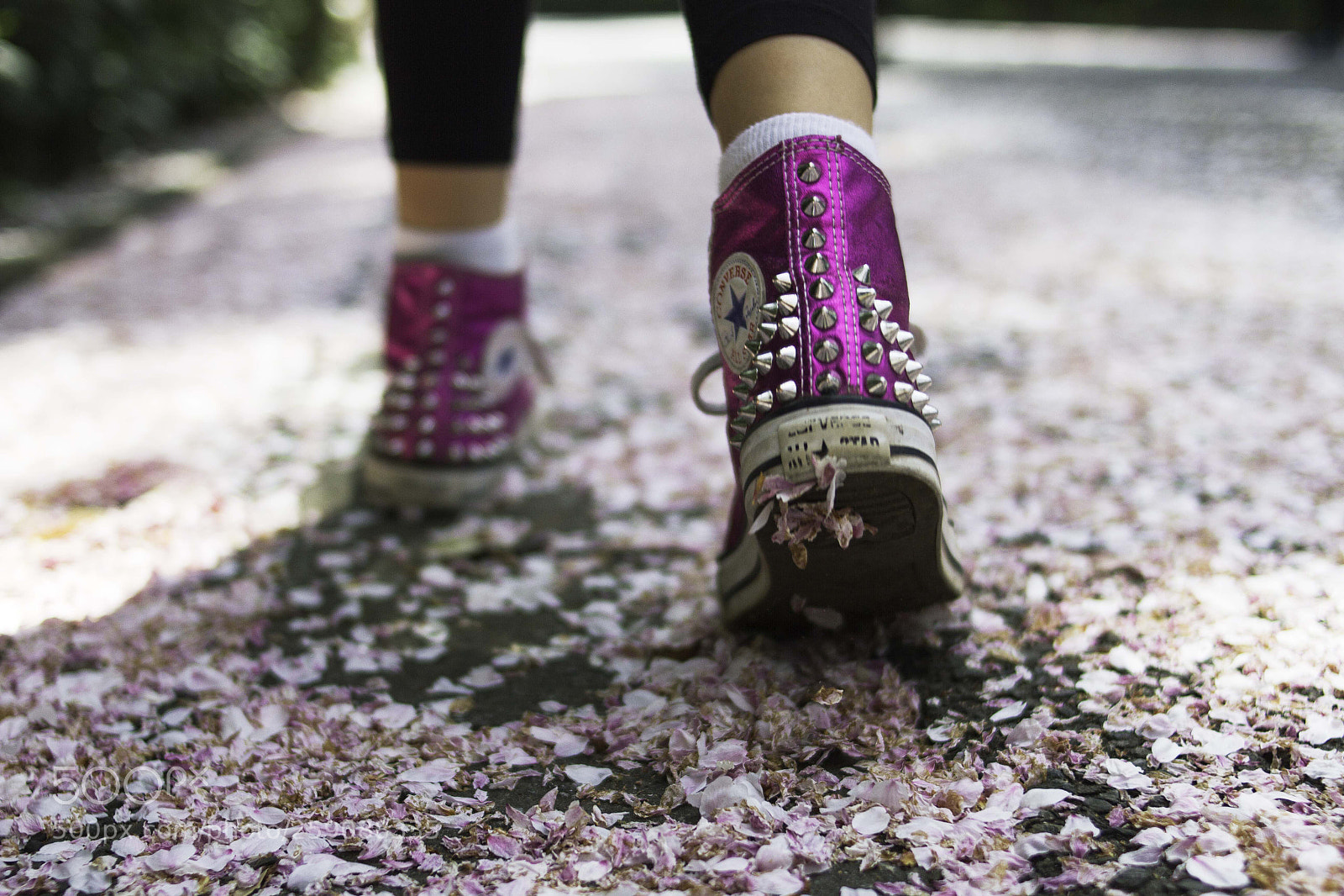 Canon EOS 7D sample photo. Studded covers over sakura photography