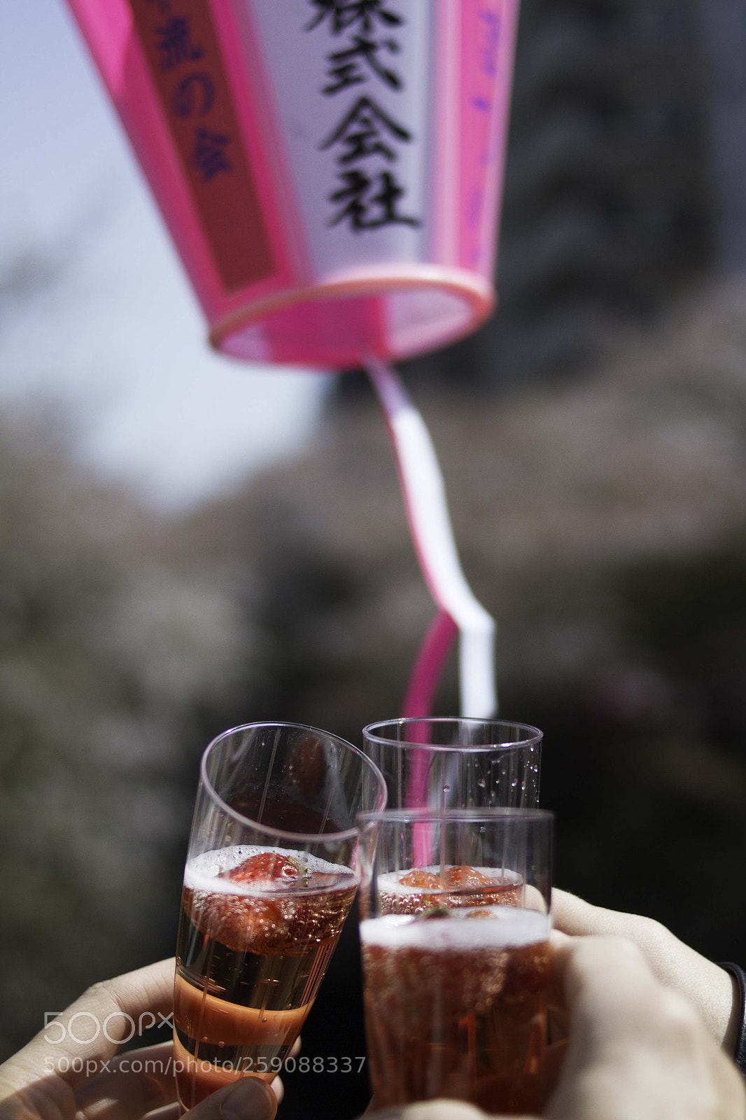 Canon EOS 7D sample photo. A pink toast photography