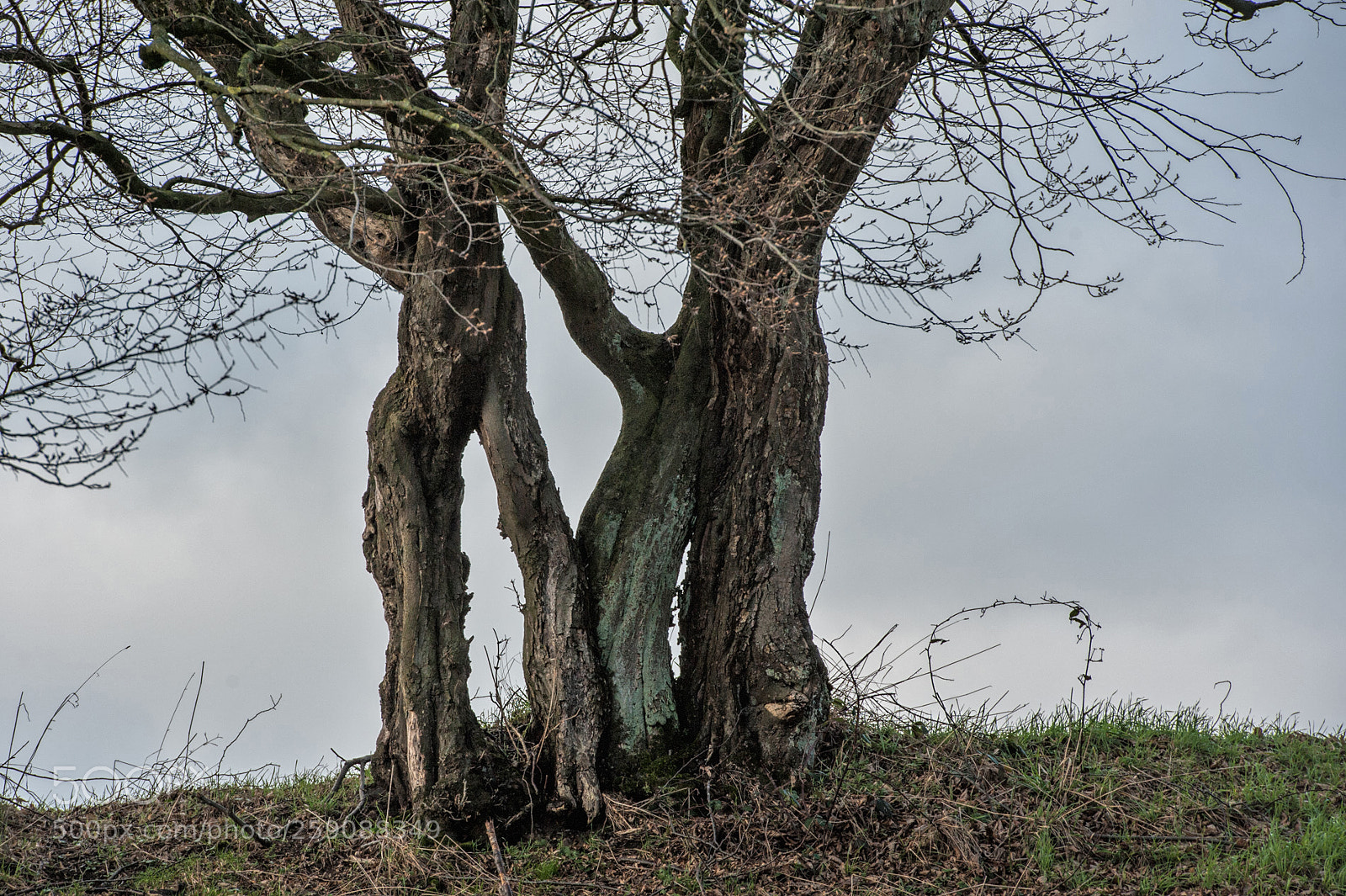 Nikon D700 sample photo. Bearbeitetbeste freunde photography