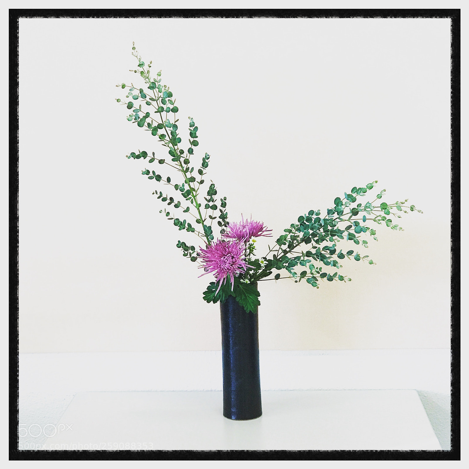Apple iPhone 7 Plus sample photo. Nageire ikebana photography