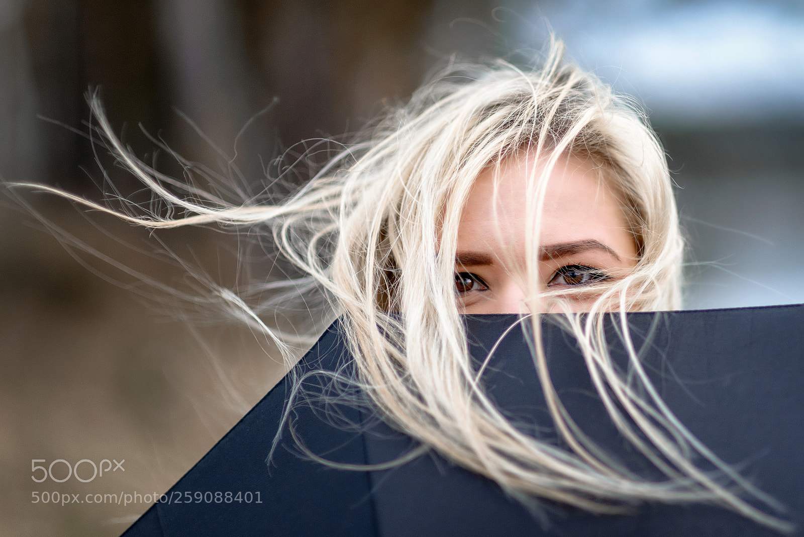 Nikon D610 sample photo. **** photography