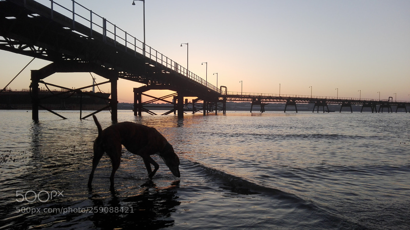 HUAWEI P8 Lite sample photo. Drinking in dawn photography