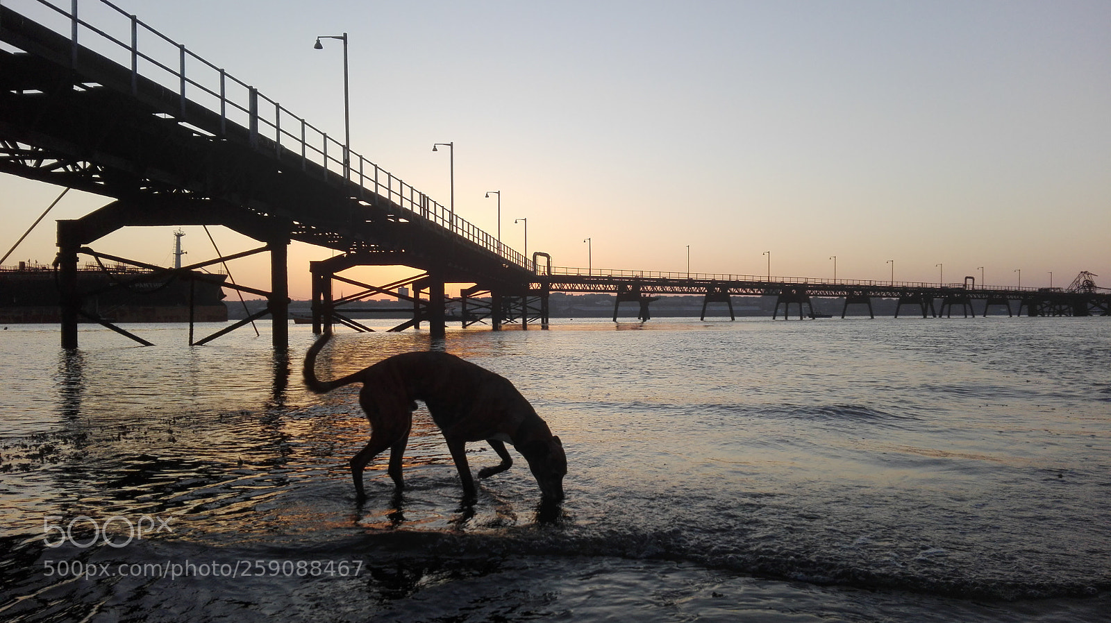 HUAWEI P8 Lite sample photo. Drinking in dawn photography