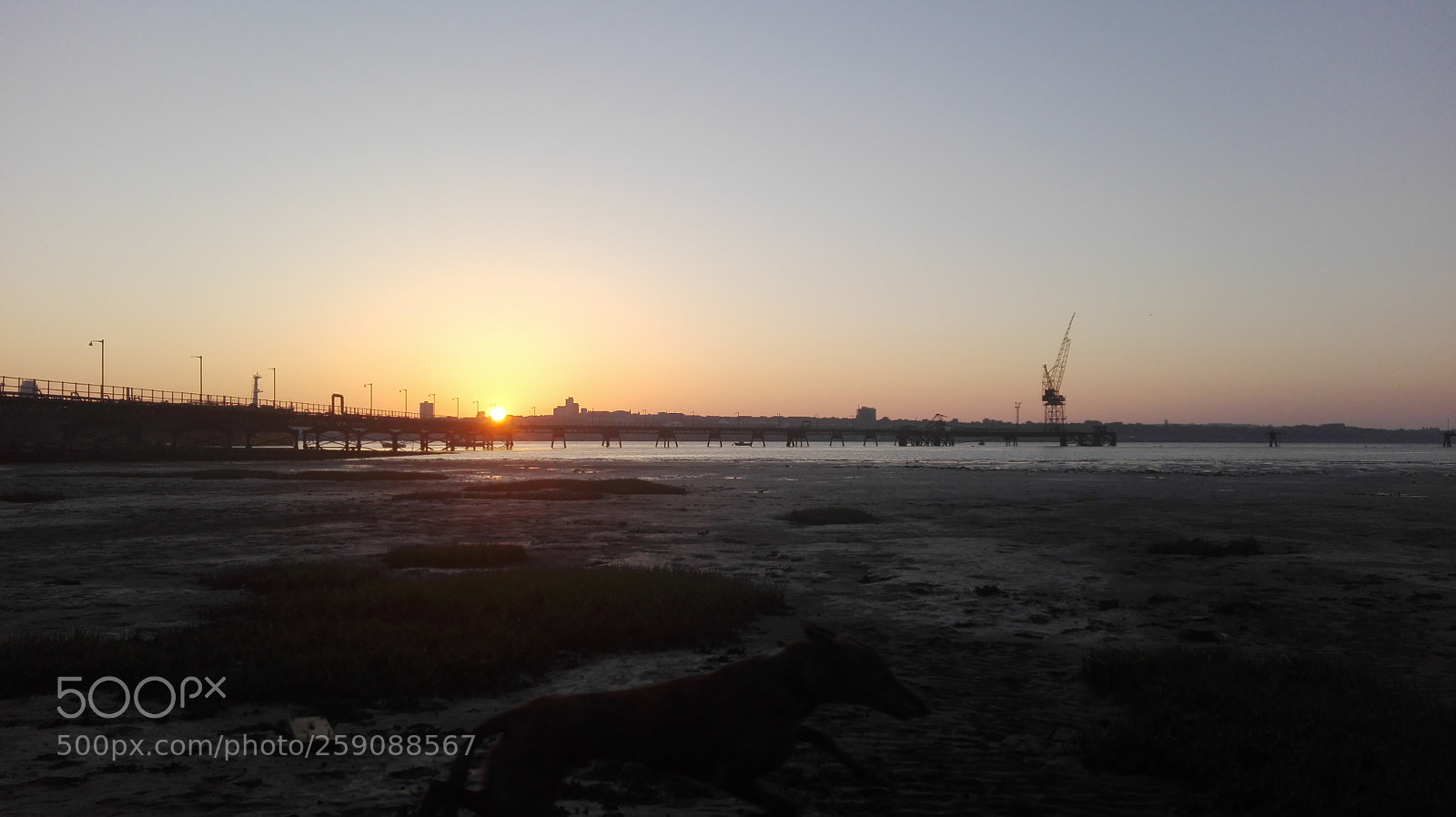 HUAWEI P8 Lite sample photo. Dawn leap photography