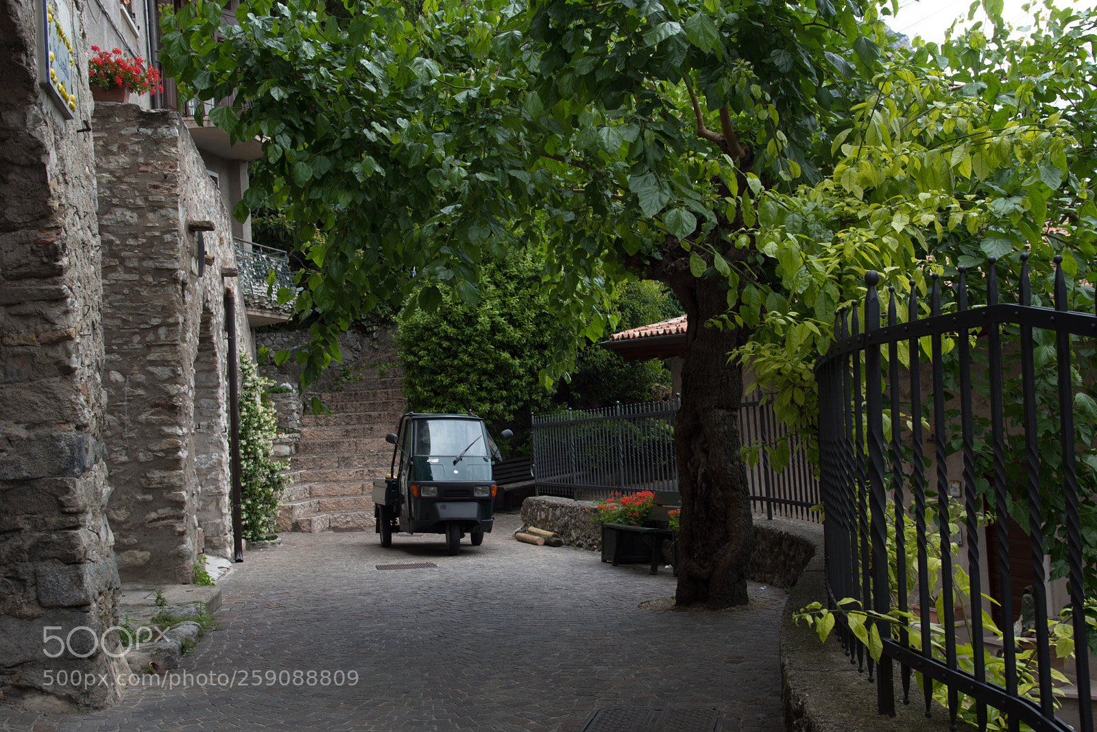 Nikon D750 sample photo. 2018_05_limone_01 photography
