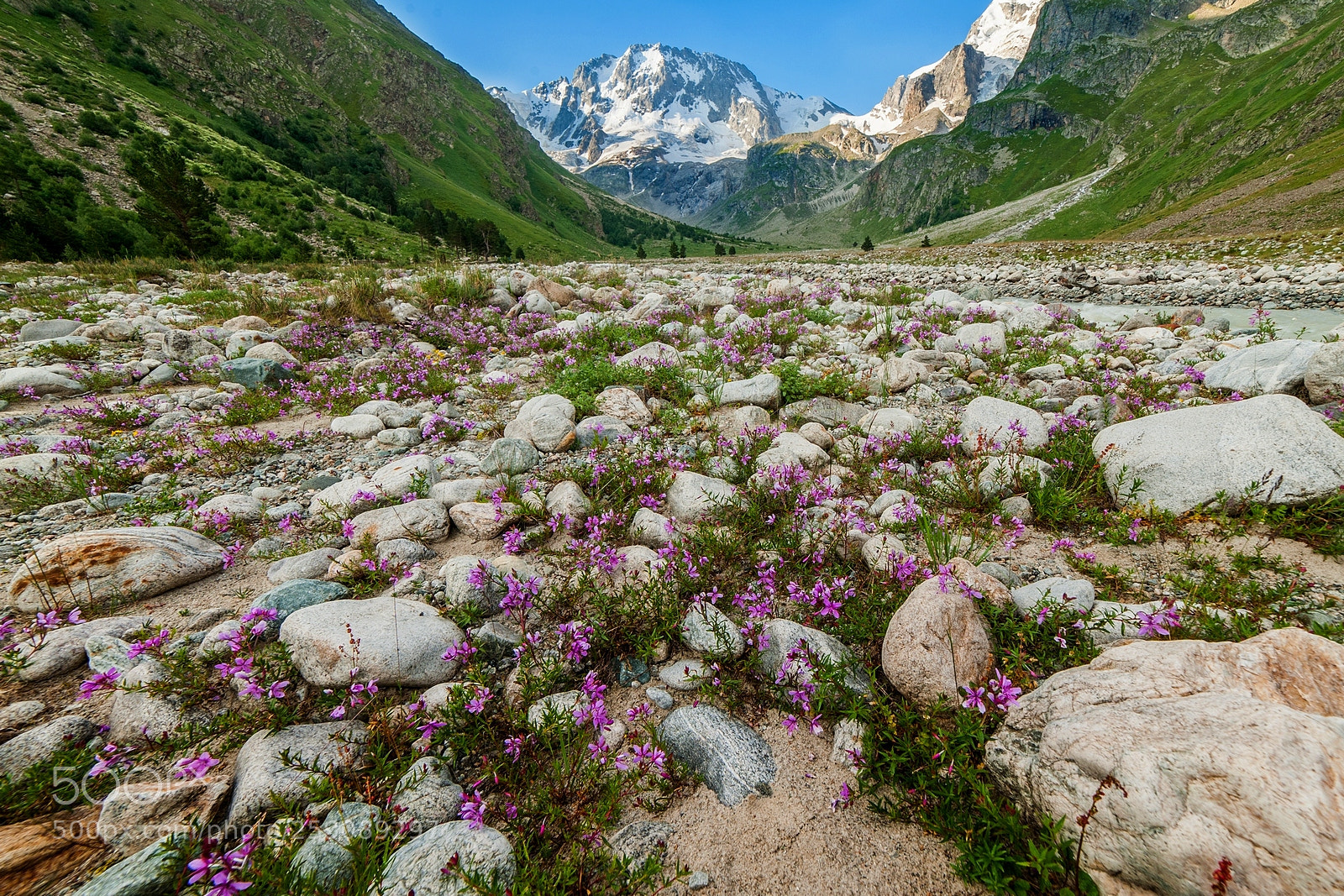 Nikon D700 sample photo. In mountains photography