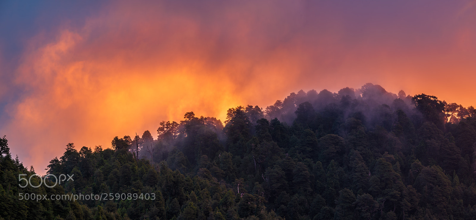Nikon D750 sample photo. Burning clouds photography