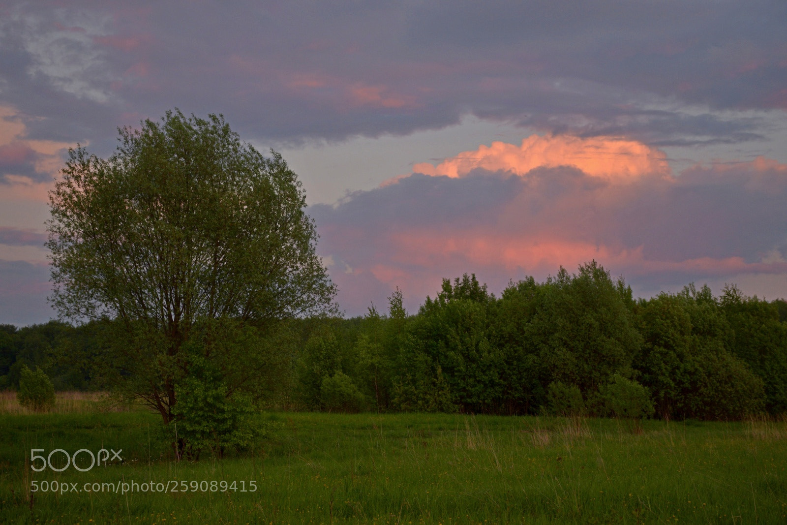 Nikon D3300 sample photo. Evening photography