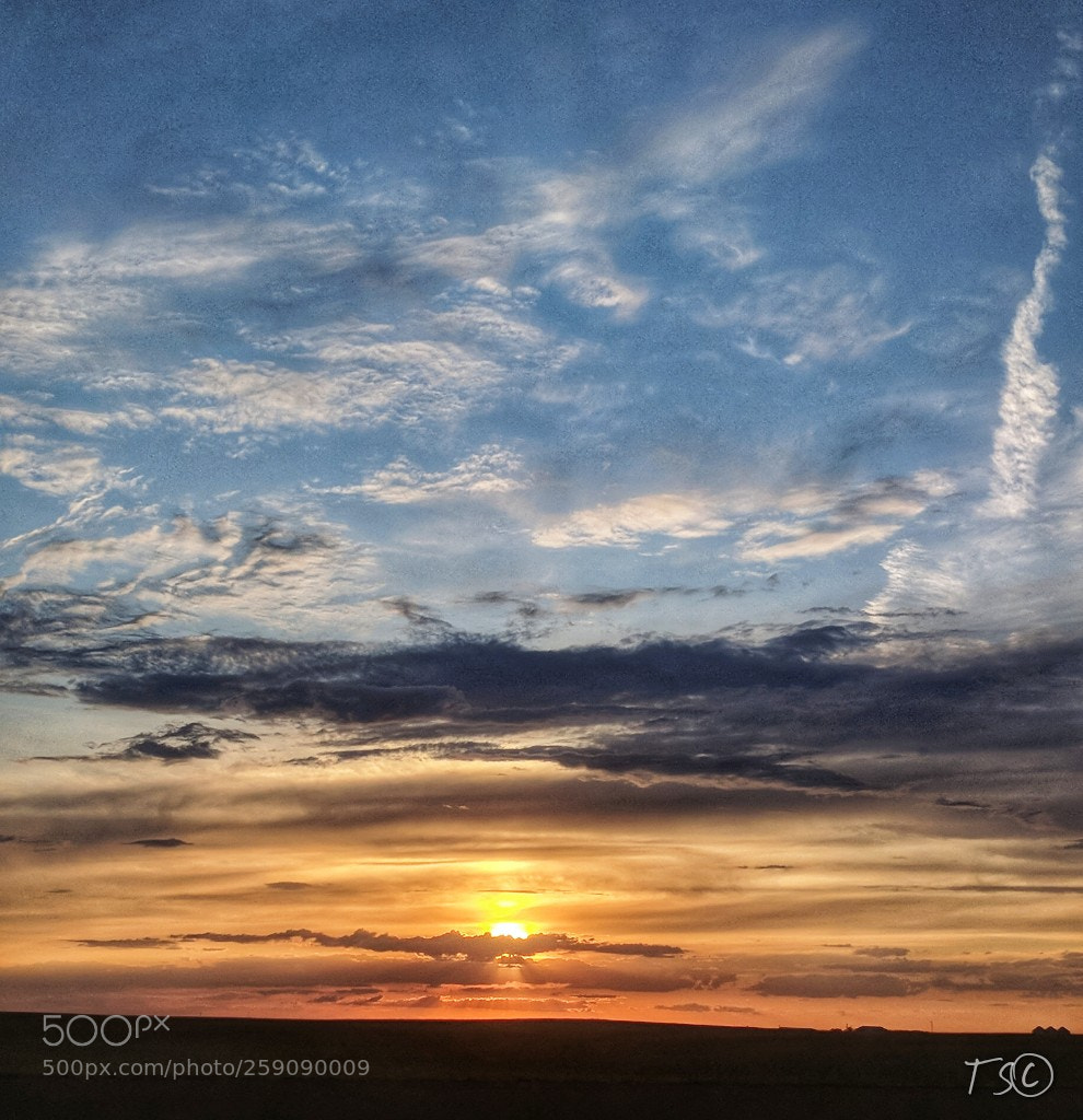 Google Pixel sample photo. Untitled photography