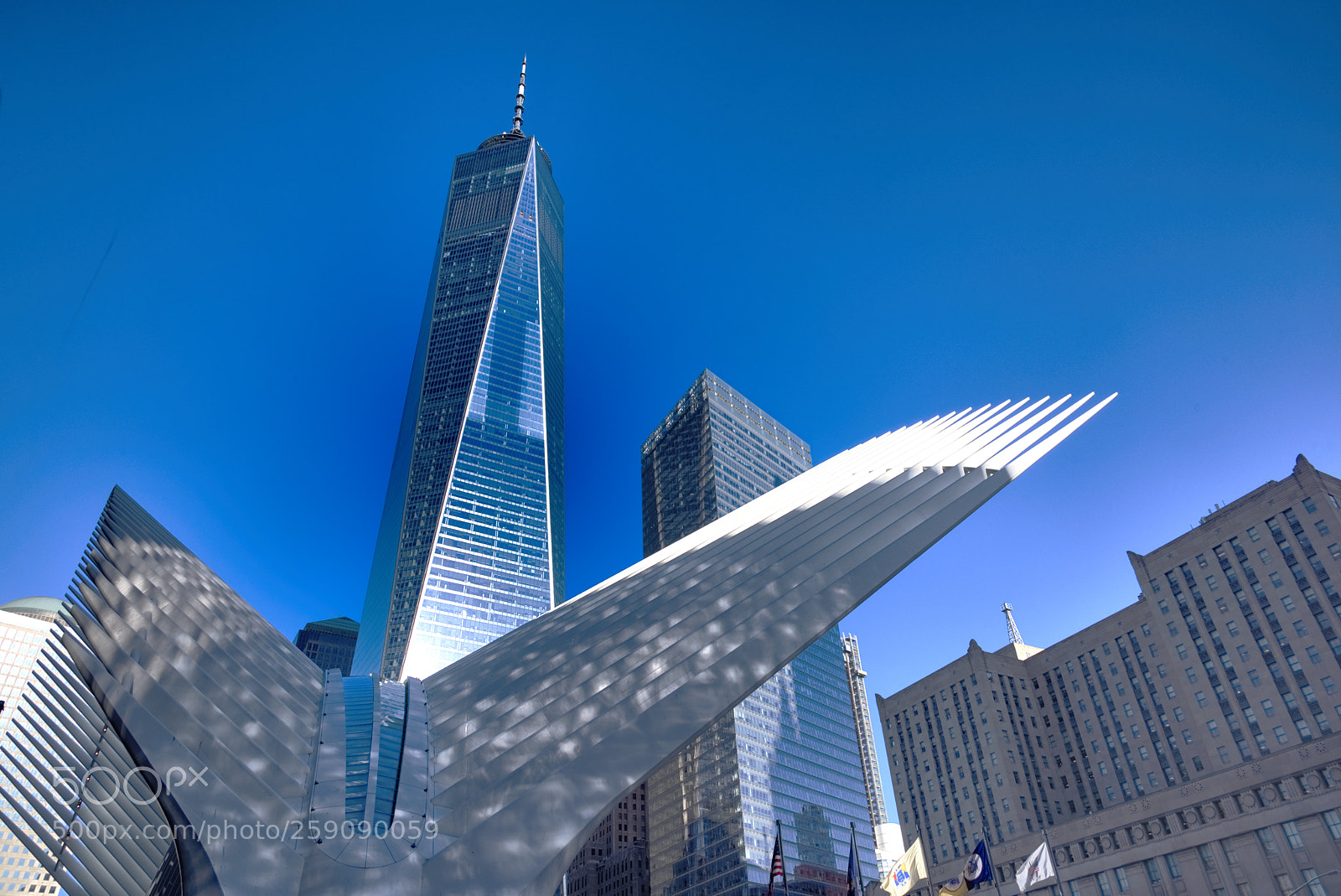 Nikon D810 sample photo. The oculus photography