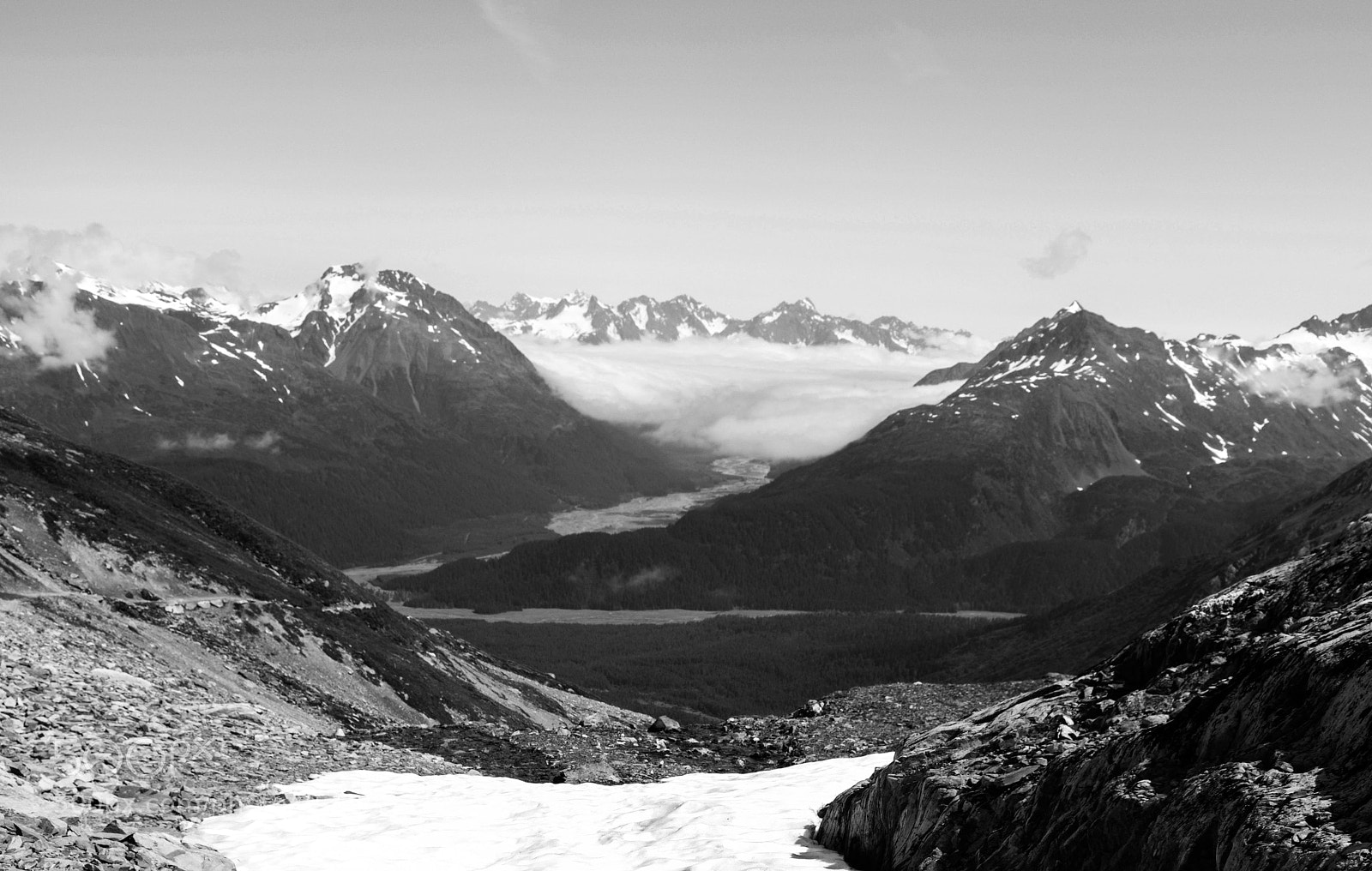 Nikon D810 sample photo. Seward photography