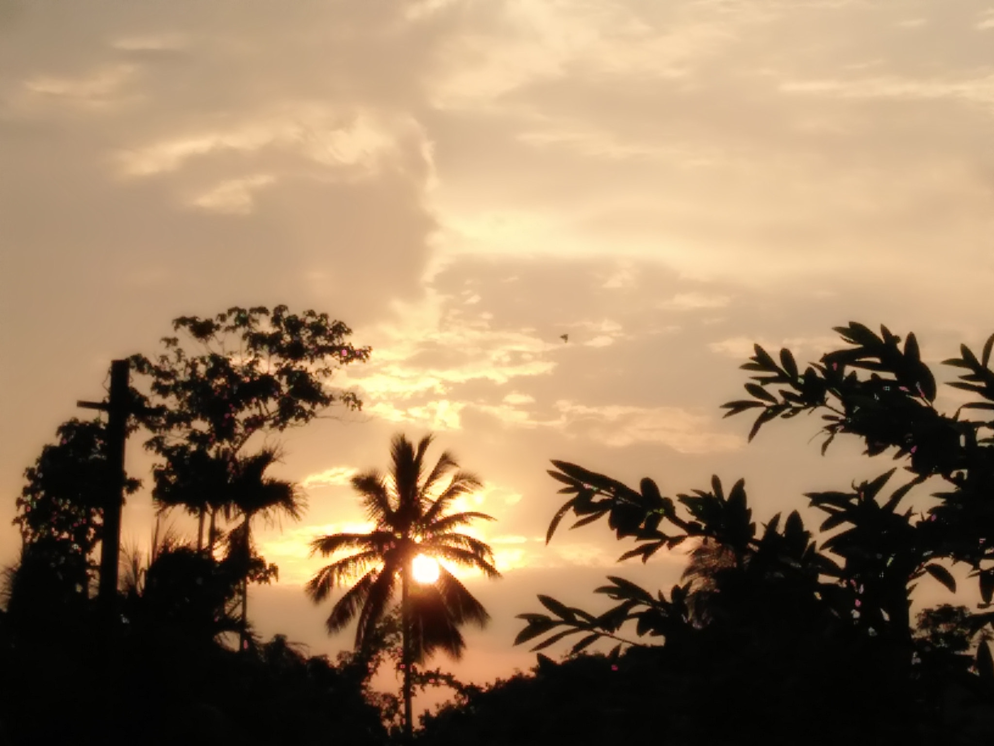 OPPO A37fw-International sample photo