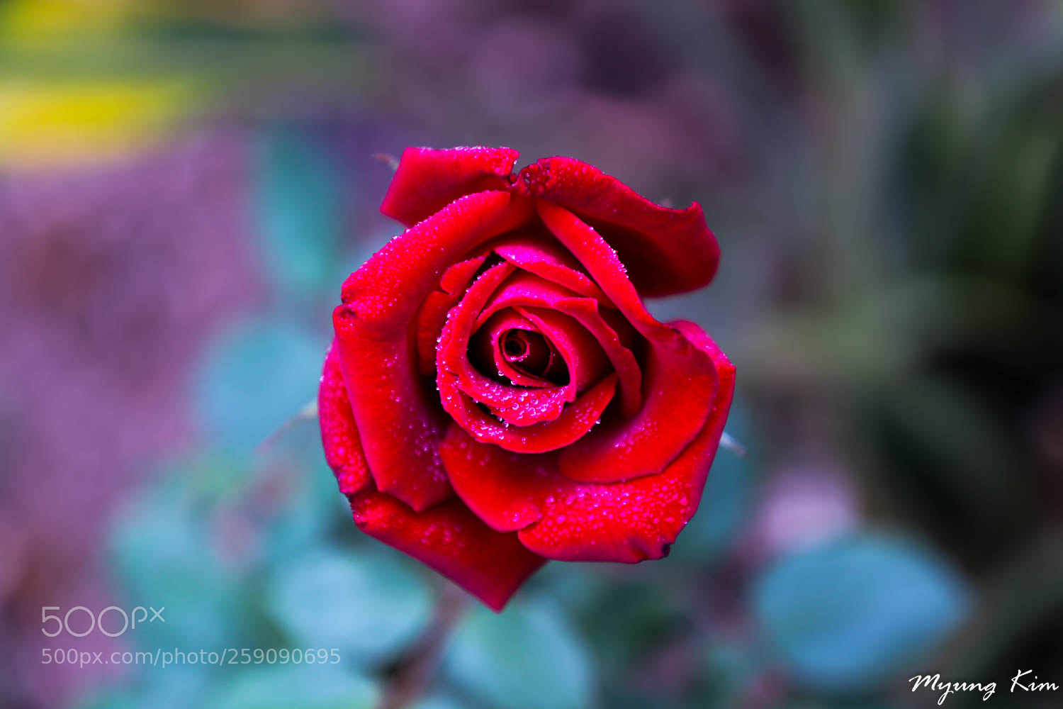 Canon EOS 5D Mark IV sample photo. Pa photography