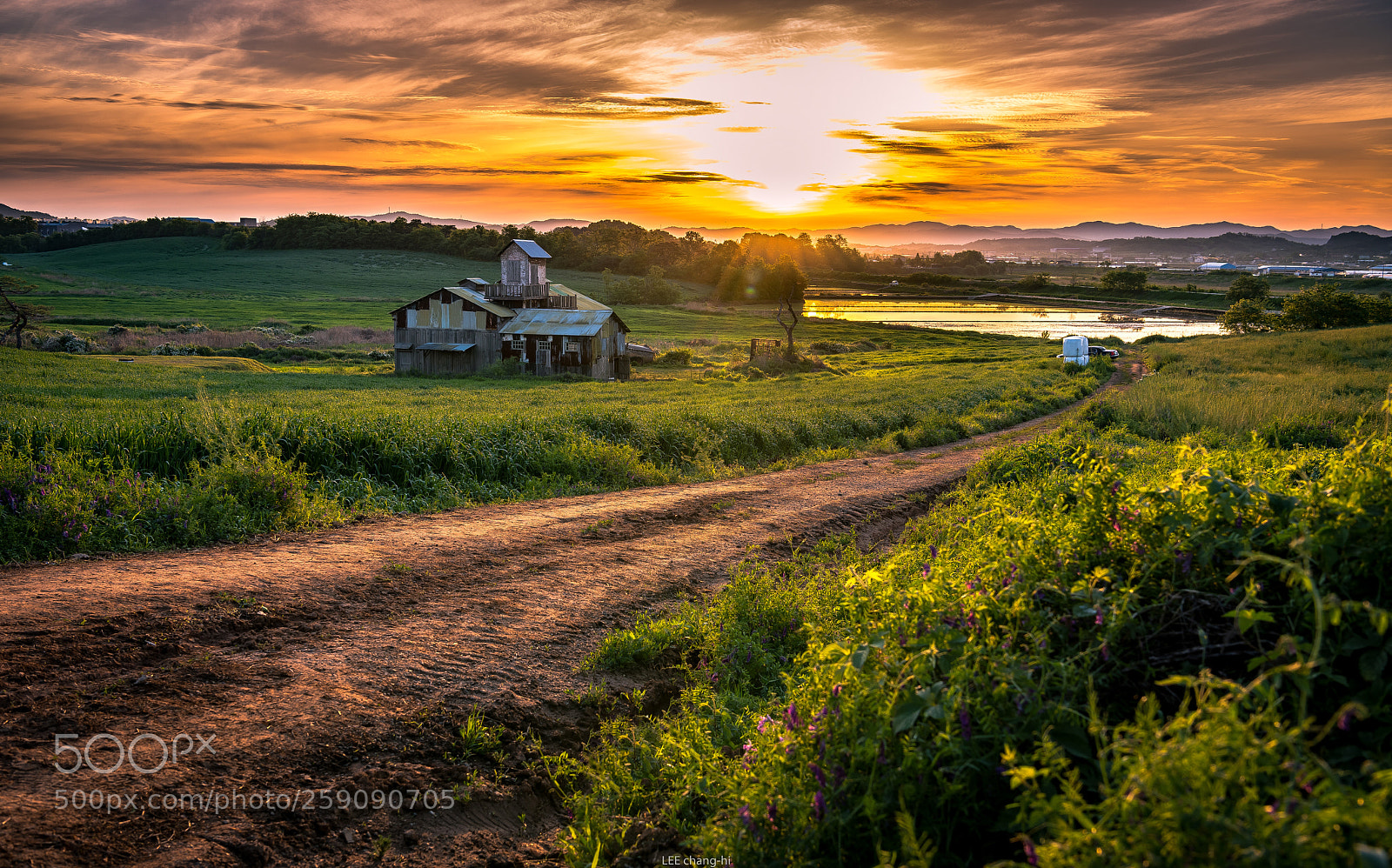 Nikon D810 sample photo. Morning light photography
