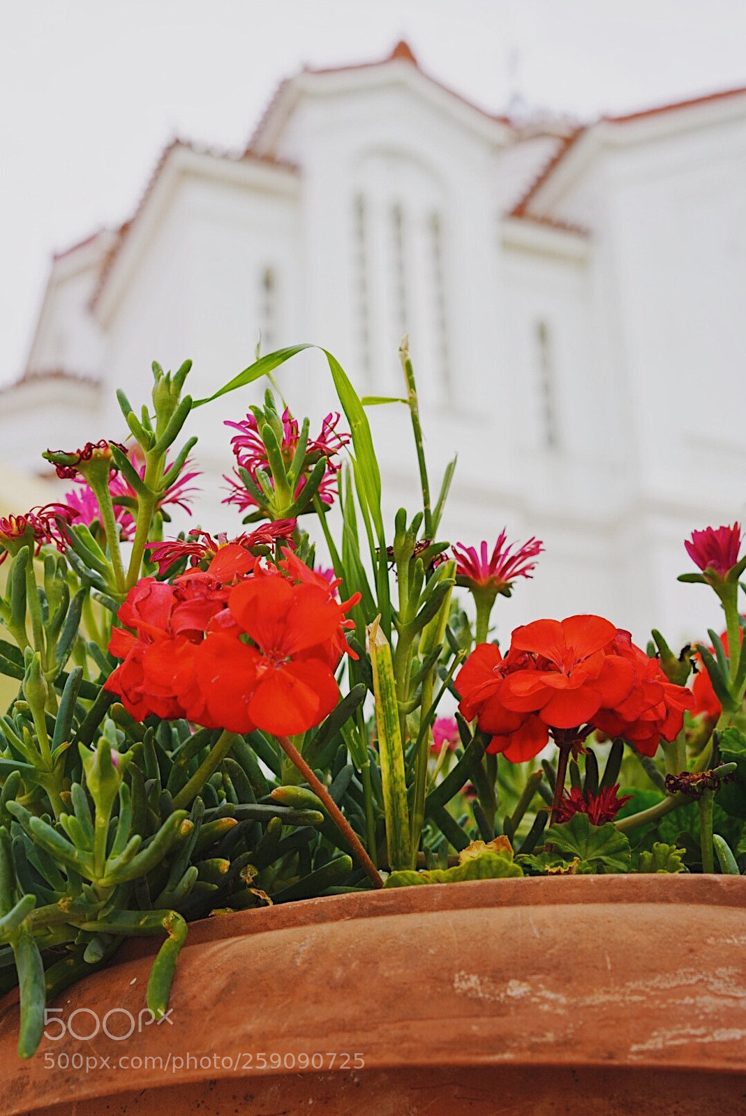 Sony a7R III sample photo. F l o w photography