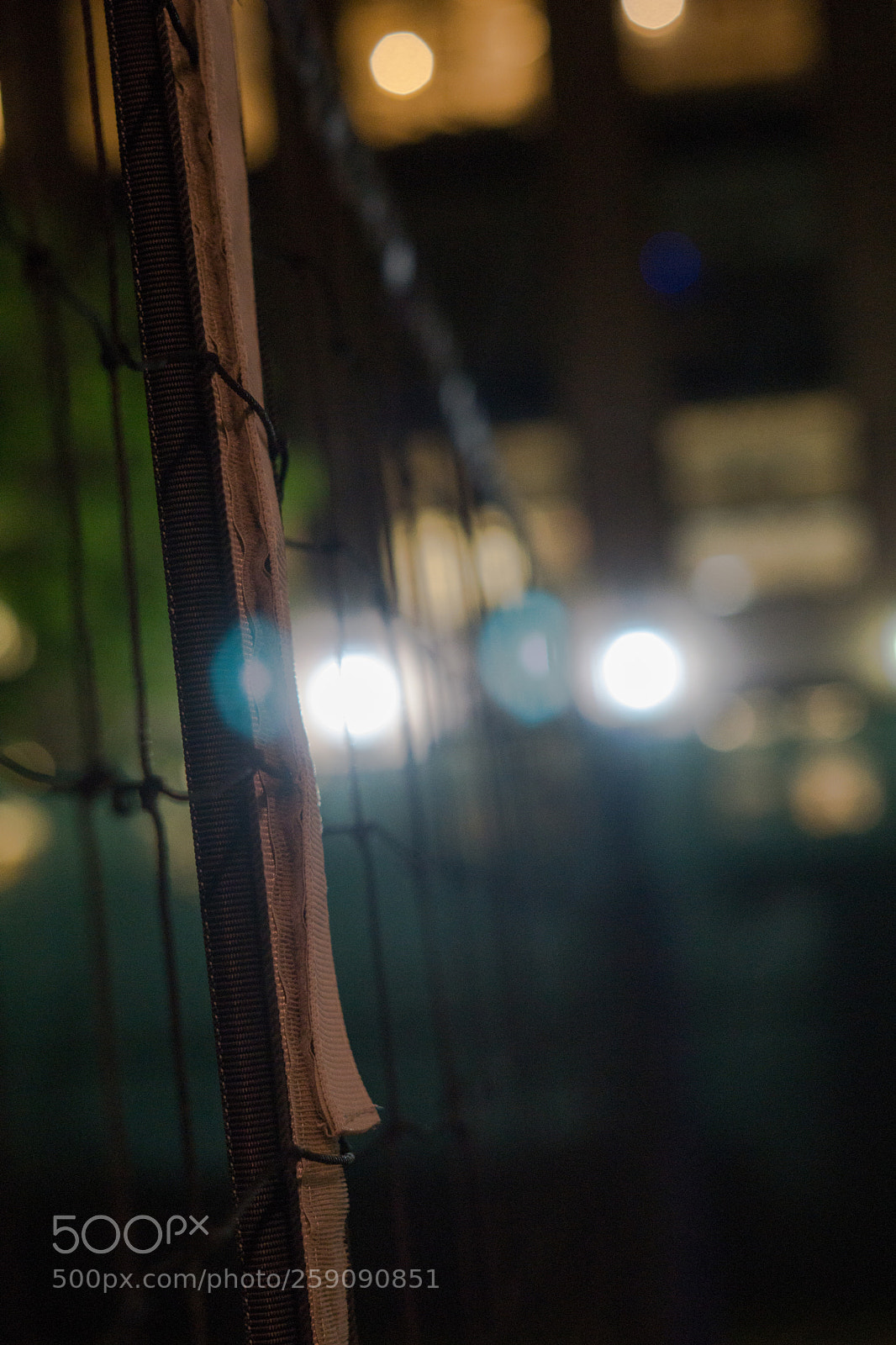 Sony a6000 sample photo. Dsc photography