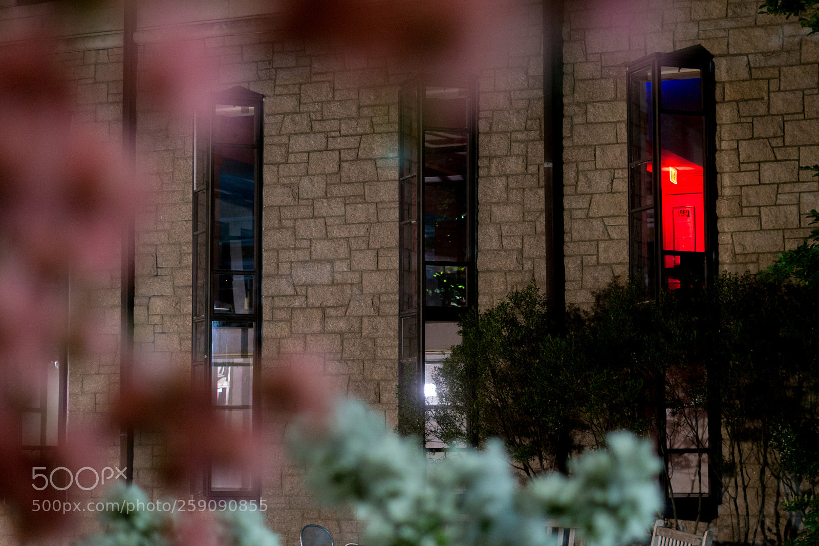 Sony a6000 sample photo. Dsc photography