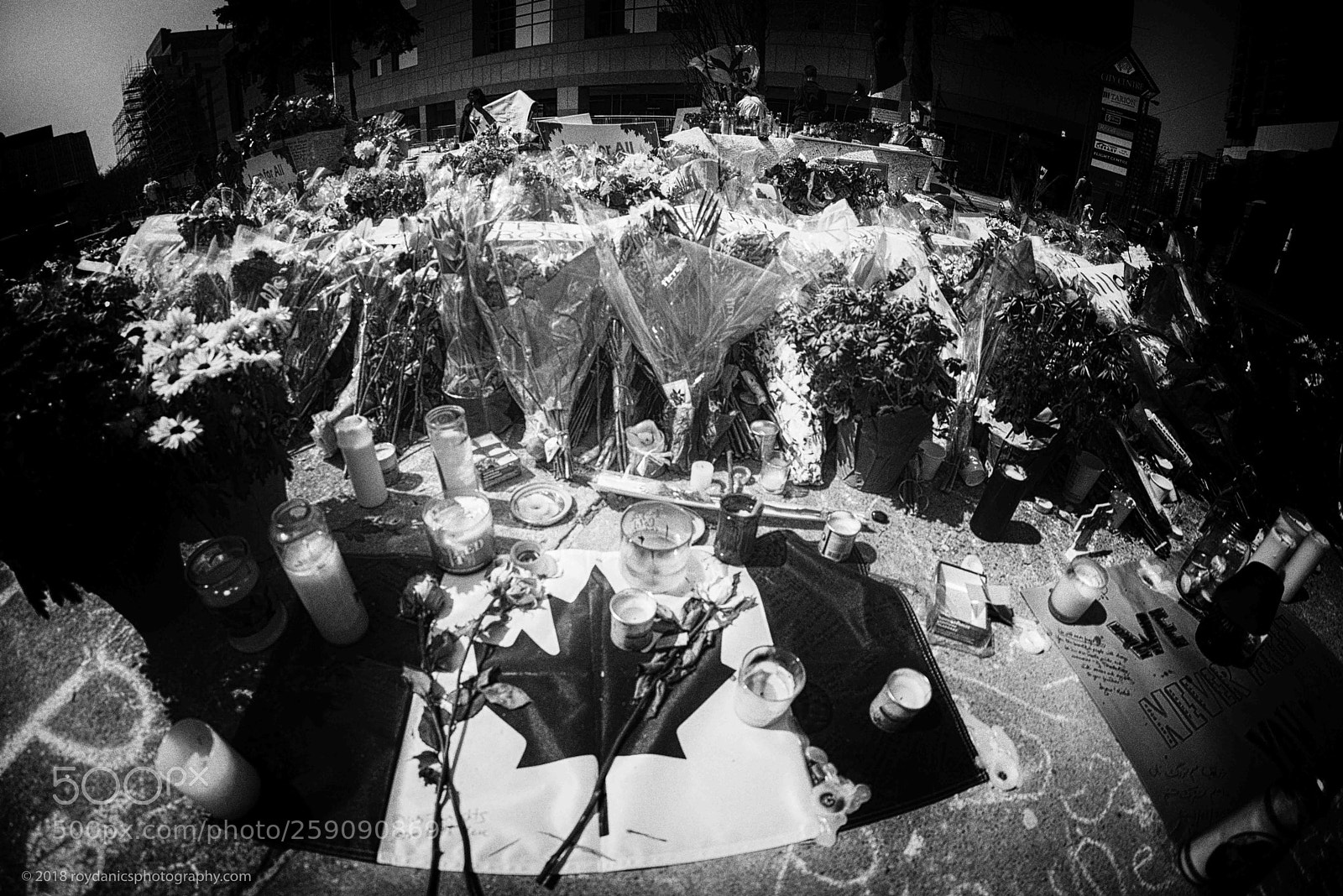 Nikon D810 sample photo. Toronto yonge street memorial photography