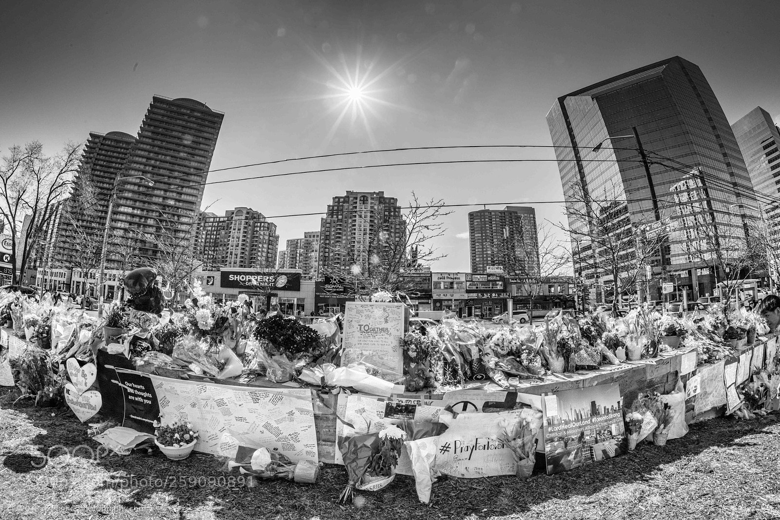 Nikon D810 sample photo. Toronto yonge street memorial photography