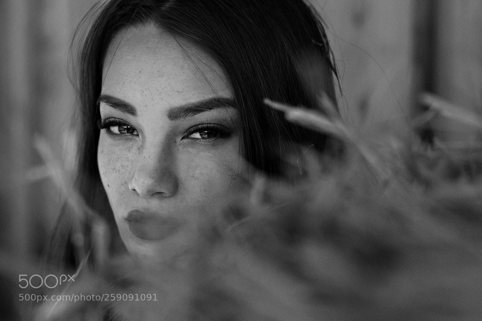 Canon EOS 5D Mark IV sample photo. Nici photography
