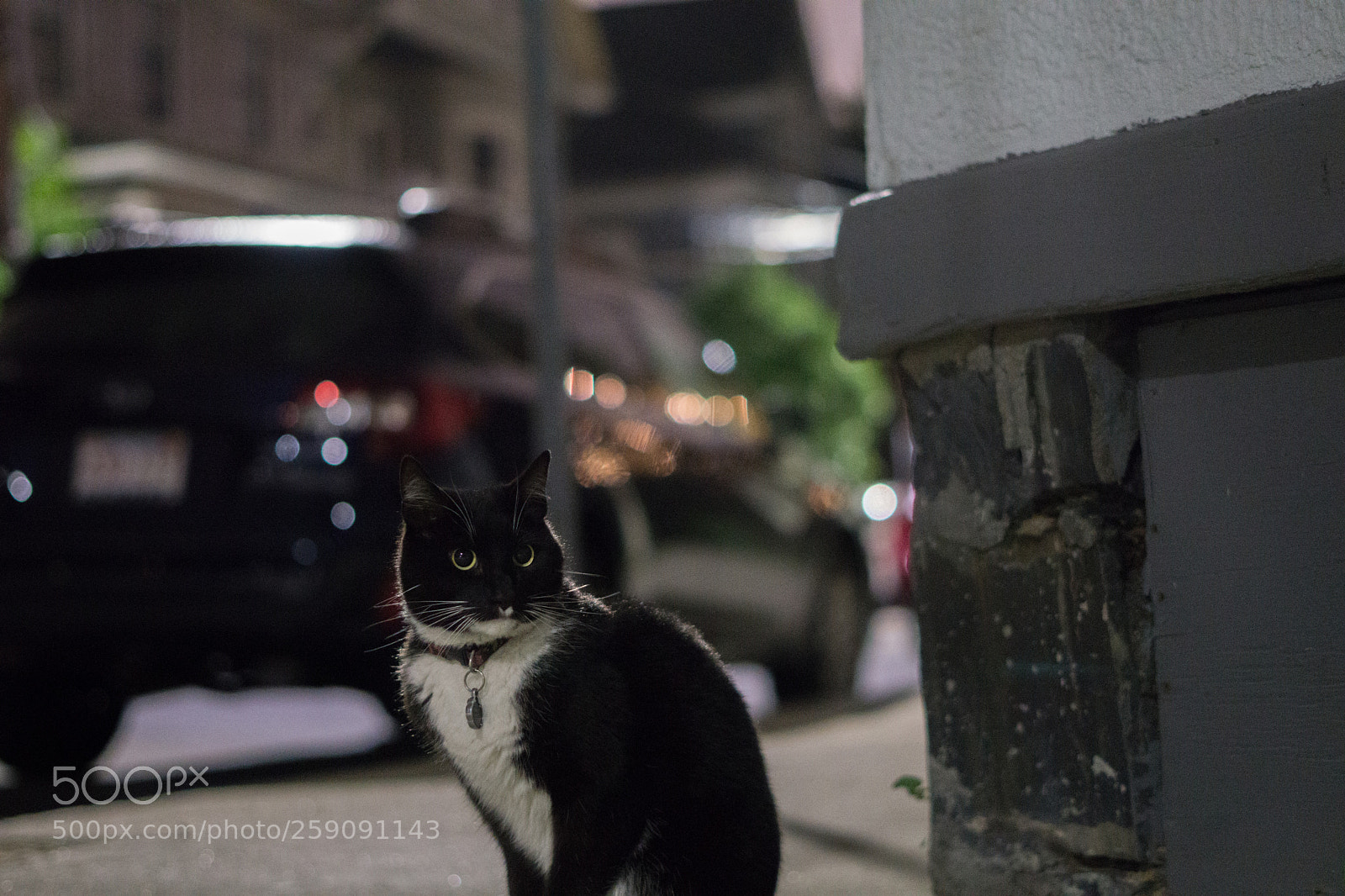 Sony a6000 sample photo. Dsc photography