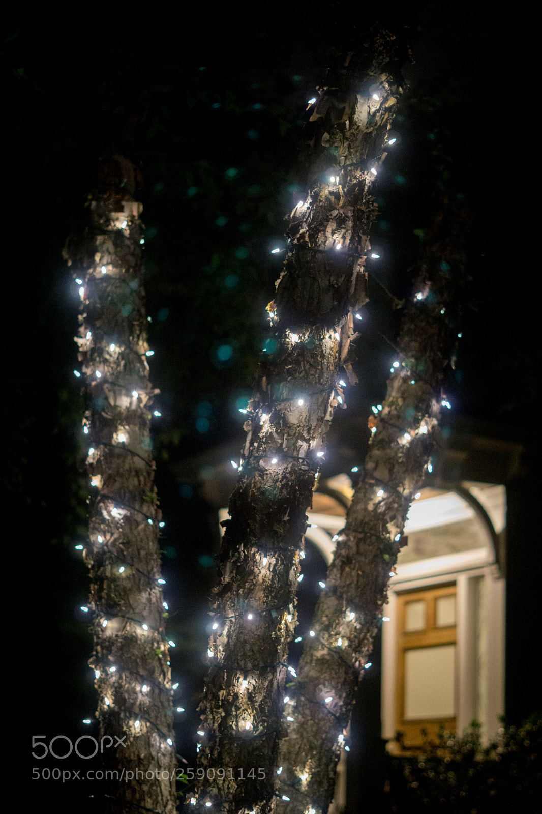 Sony a6000 sample photo. Dsc photography