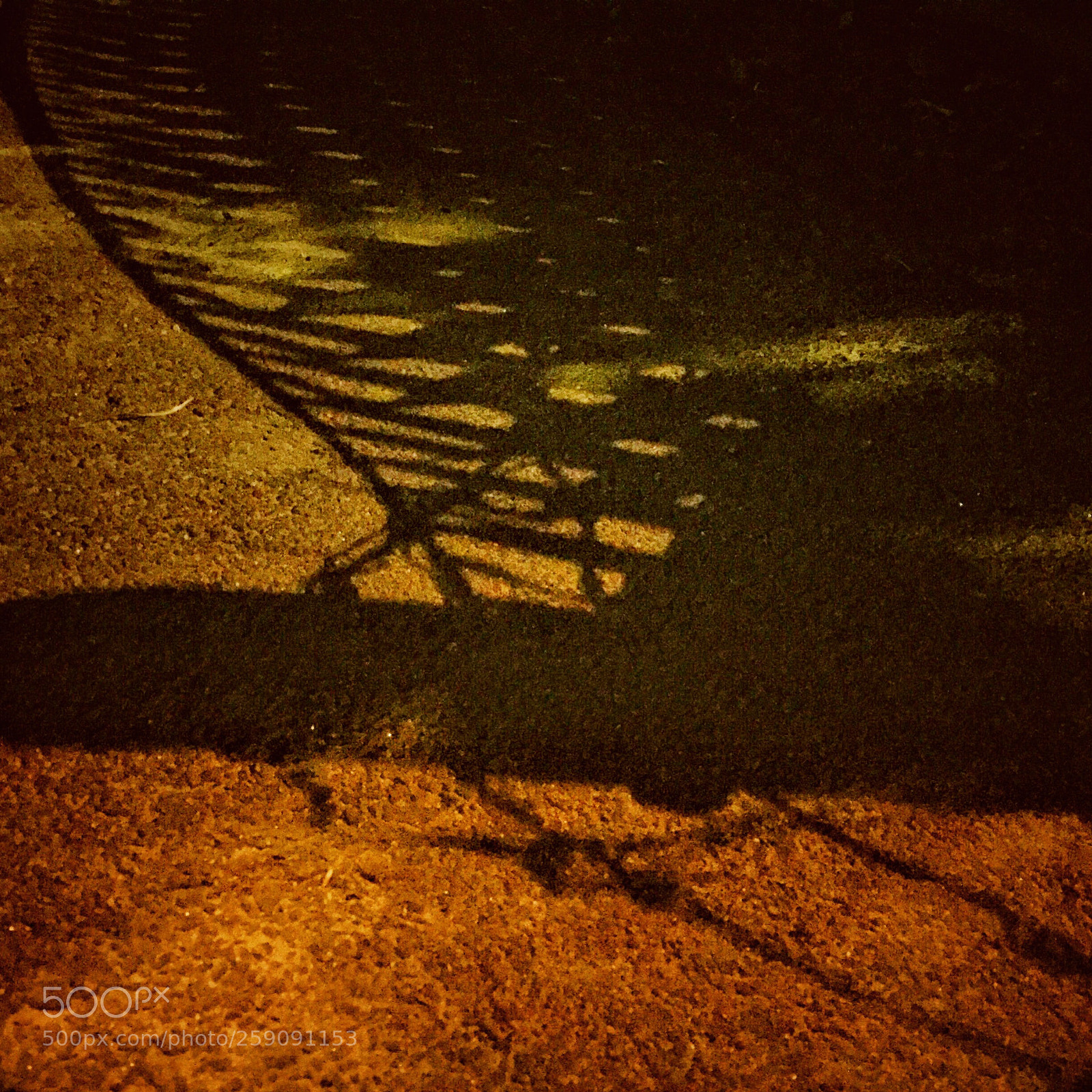 Apple iPhone 6 sample photo. Untitled photography