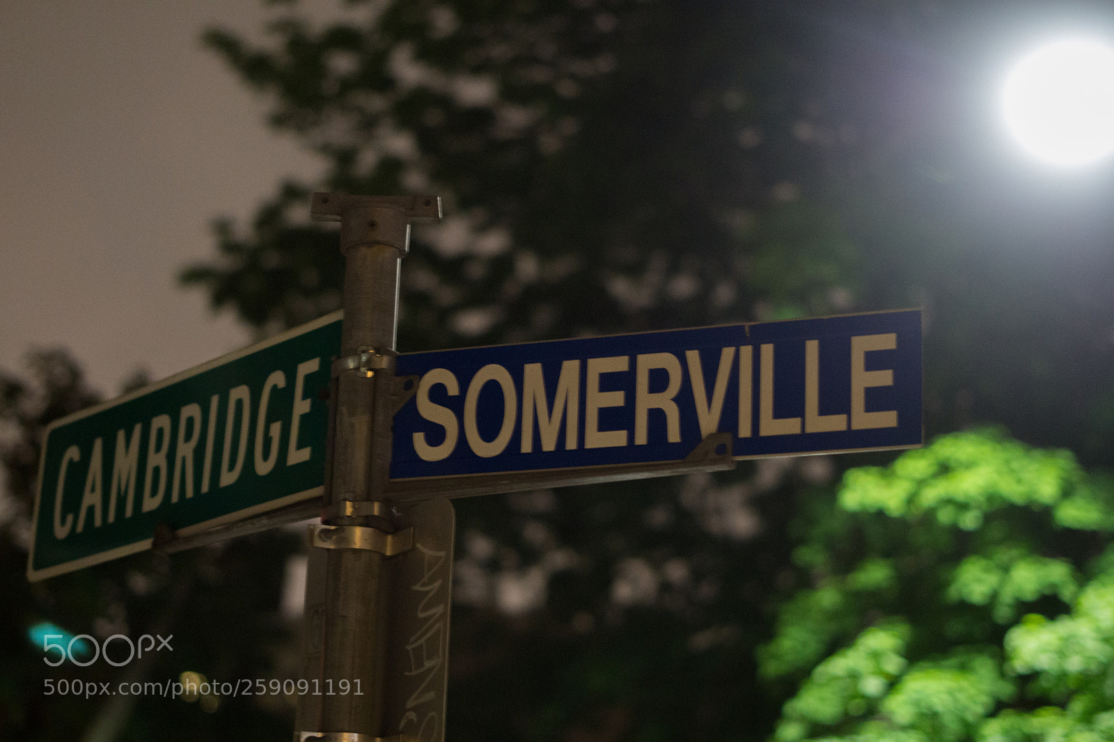 Sony a6000 sample photo. Dsc photography