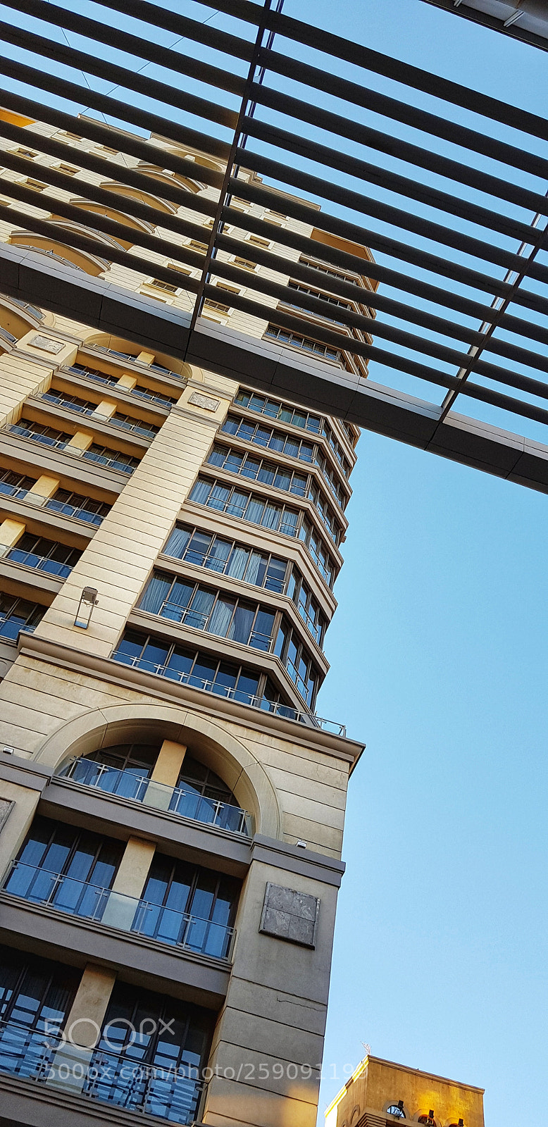 Samsung Galaxy S8+ sample photo. Sandton photography
