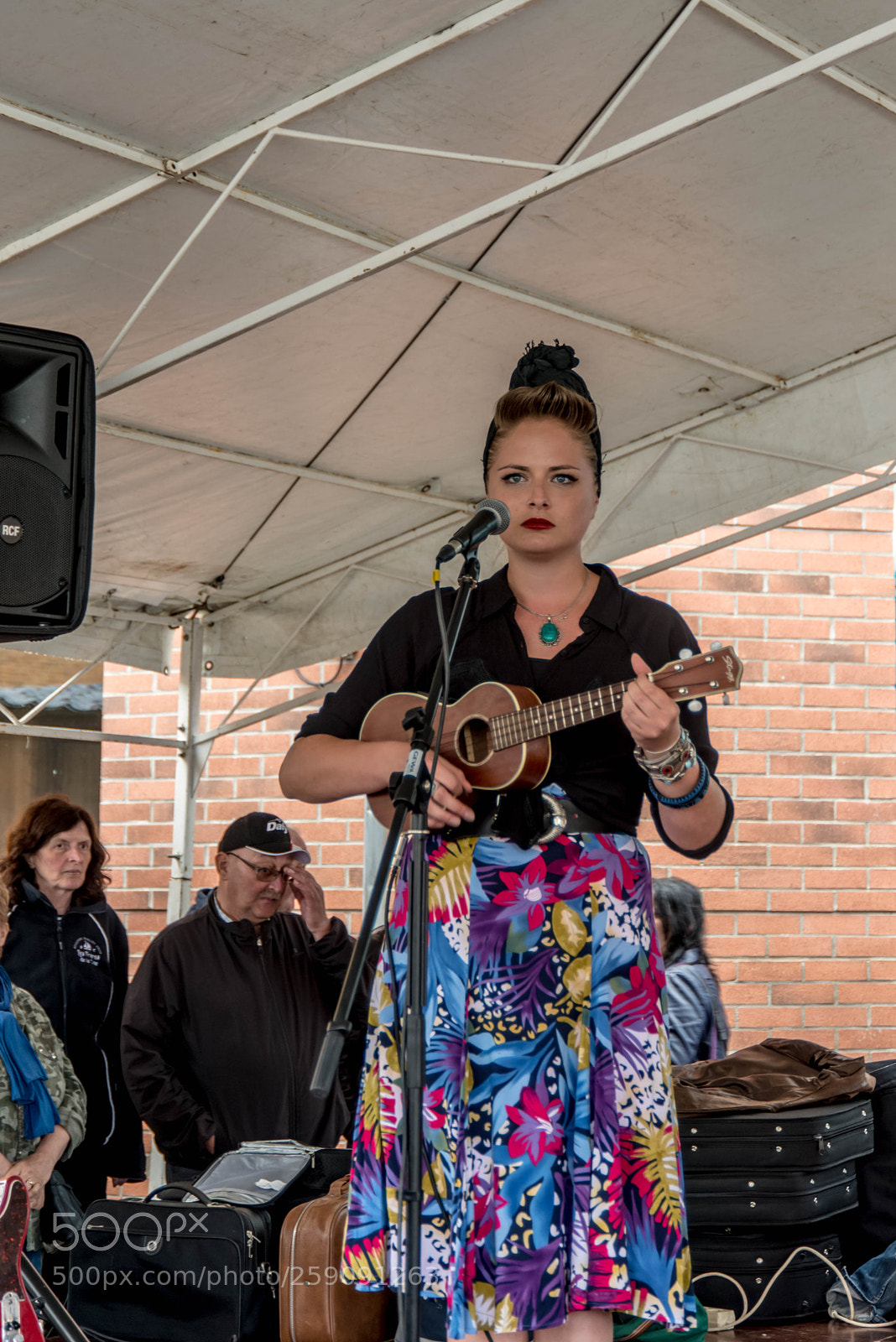 Nikon D800 sample photo. Tobazco wild band ( rock ) photography