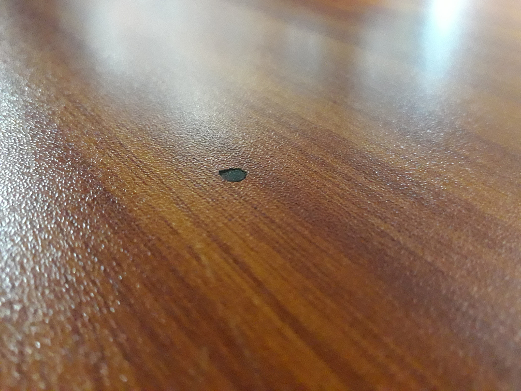 Samsung Galaxy J7 Neo sample photo