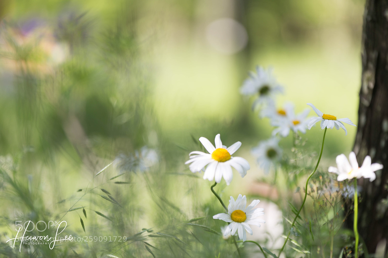 Canon EOS 6D sample photo. ᴬᶠᵀᴱᴿ ᴿᴬᴵᴺ...
 photography