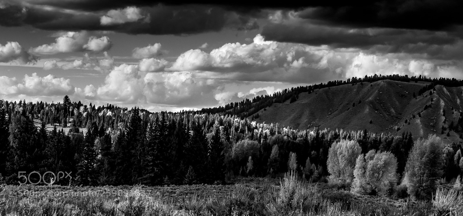 Canon EOS 6D sample photo. Bw land photography
