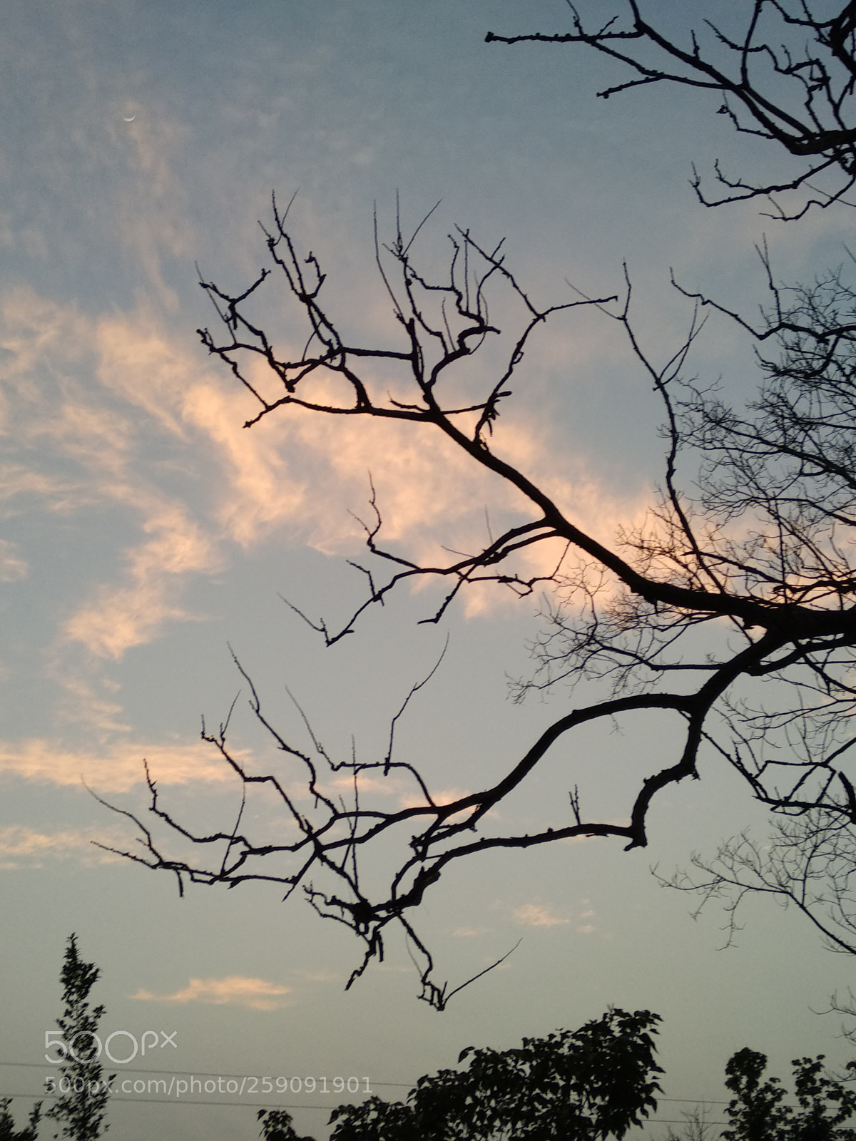Xiaomi Redmi Note 5 sample photo. Untitled photography