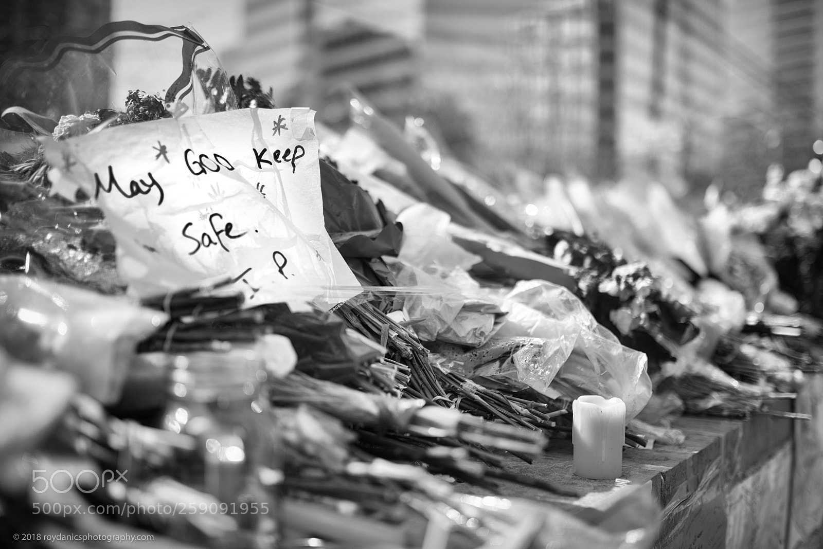 Nikon D810 sample photo. Toronto yonge street memorial. photography