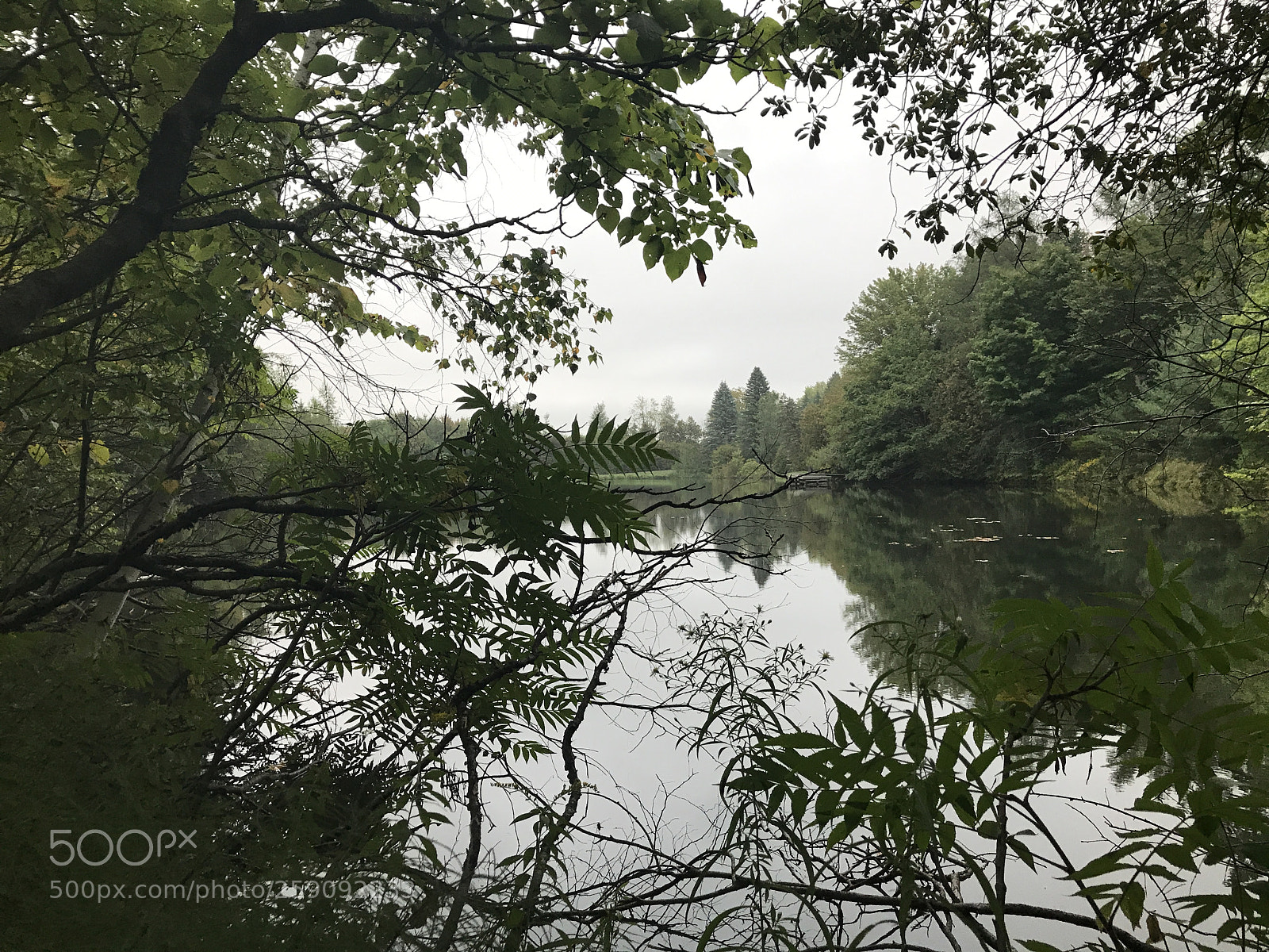 Apple iPhone 7 Plus sample photo. Lake #79 photography