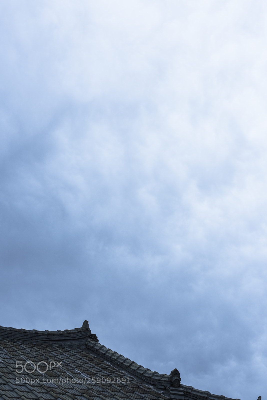Nikon D810 sample photo. In a town   no.32 photography