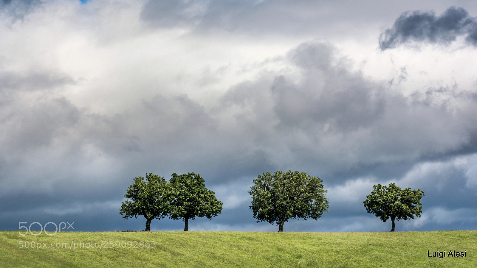Nikon D7100 sample photo. Marche countryside photography
