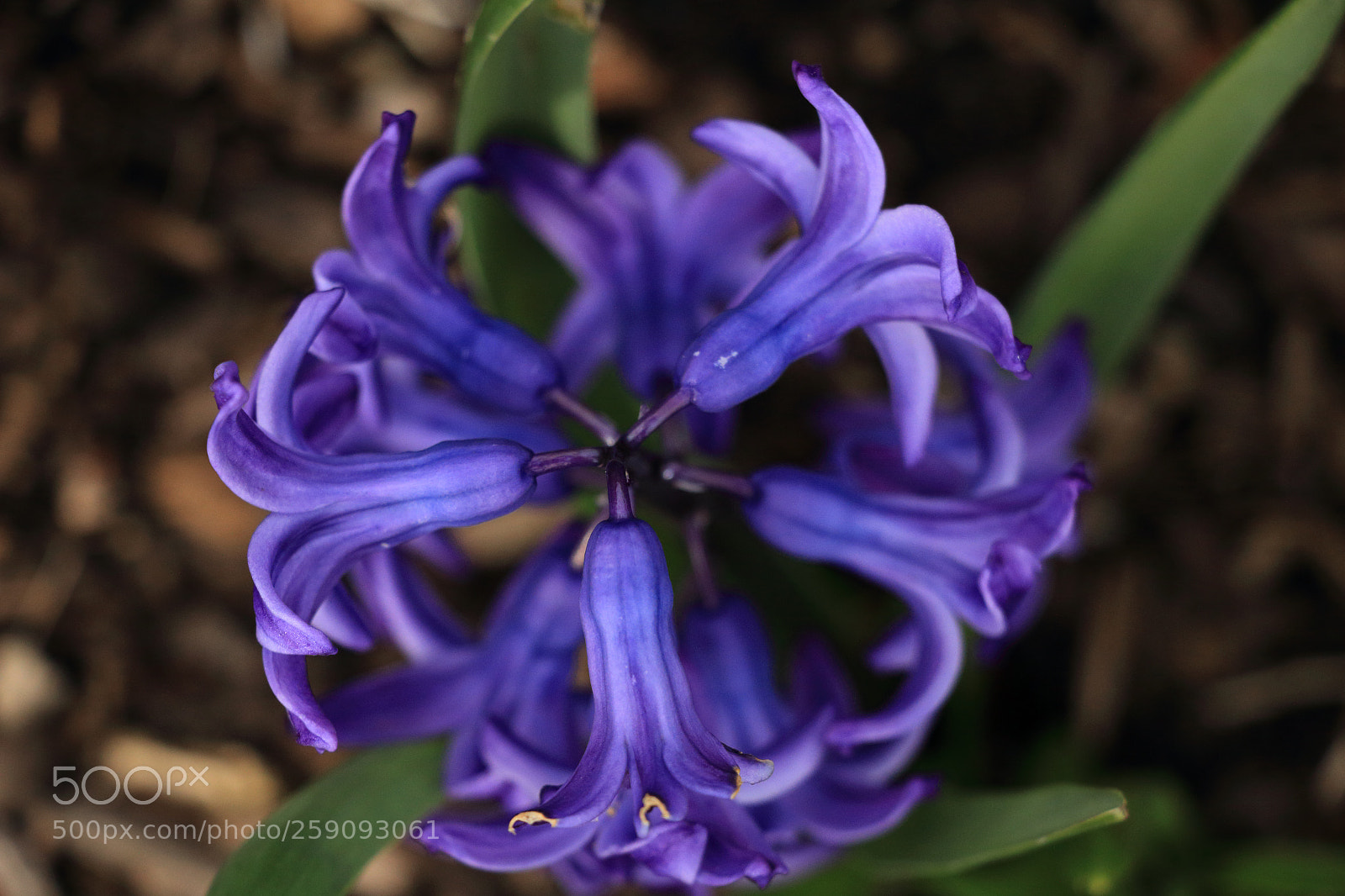 Canon EOS 70D sample photo. 2016033 photography