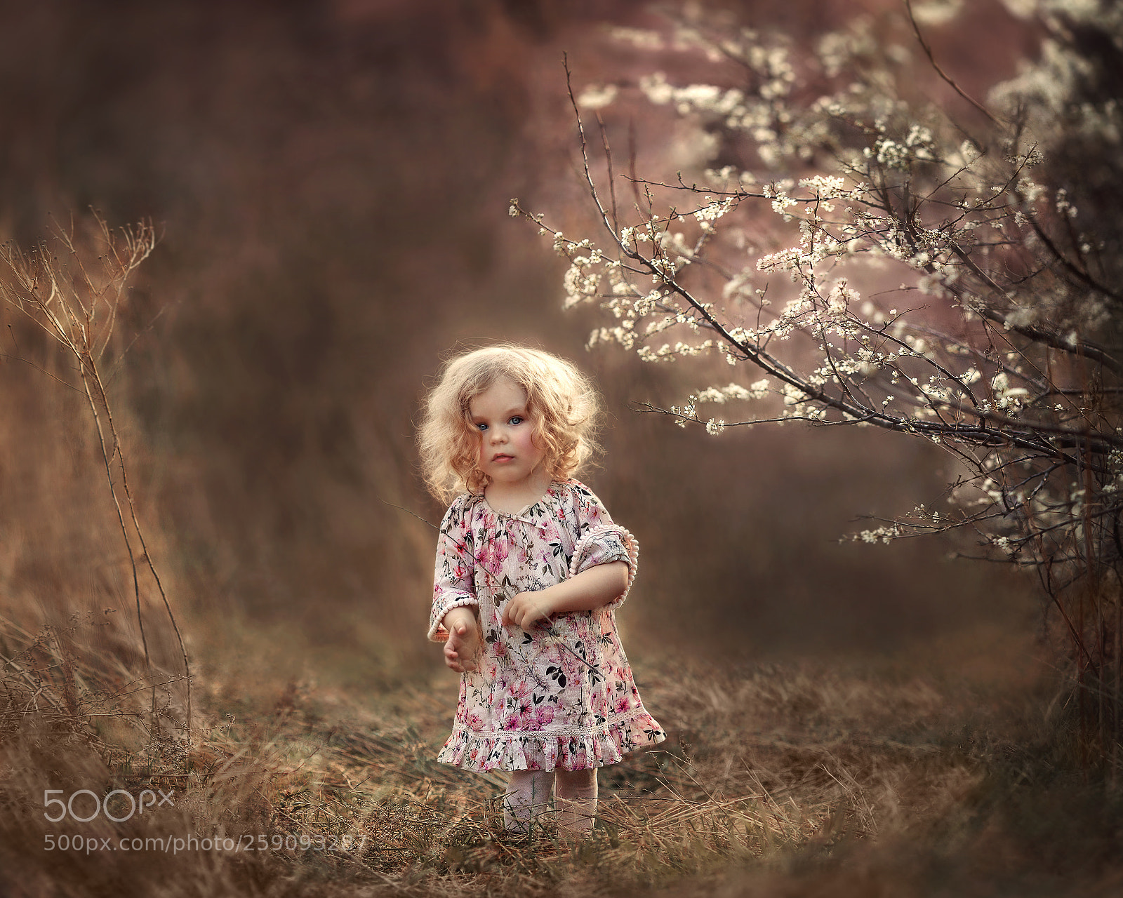 Canon EOS 6D sample photo. Булка photography